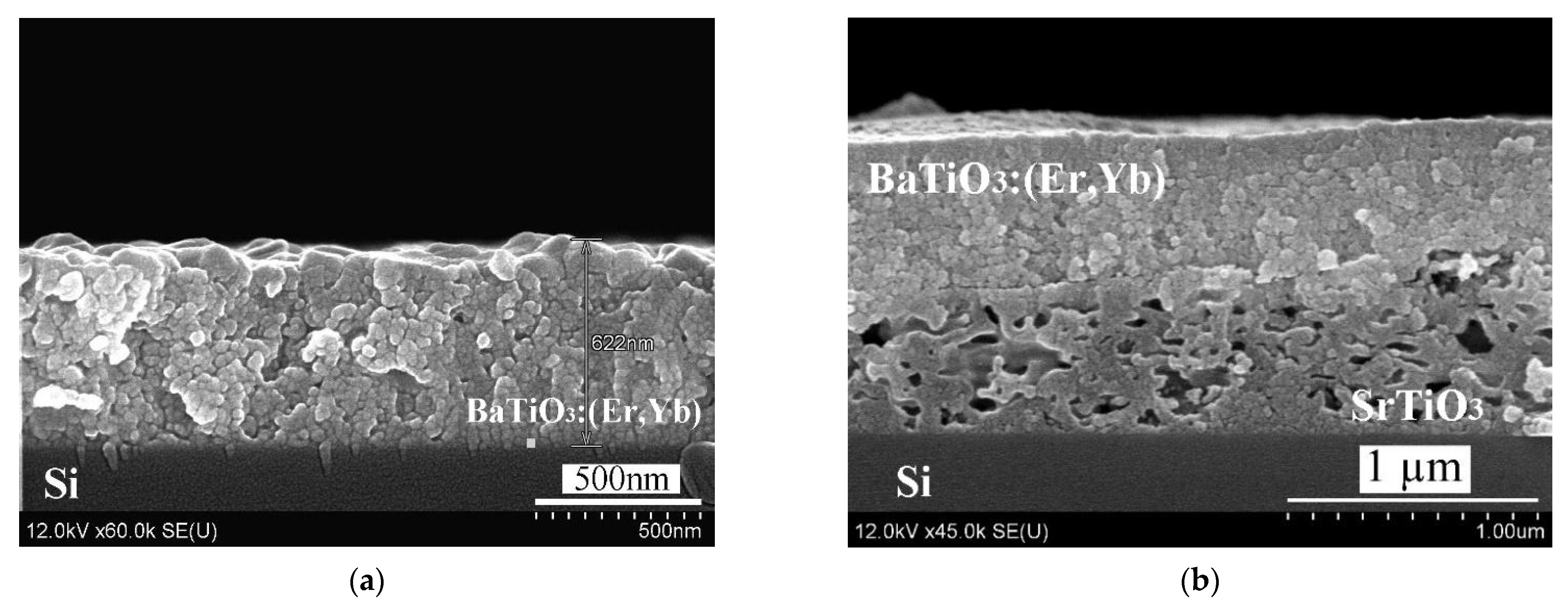 Gels 08 00347 g001 550