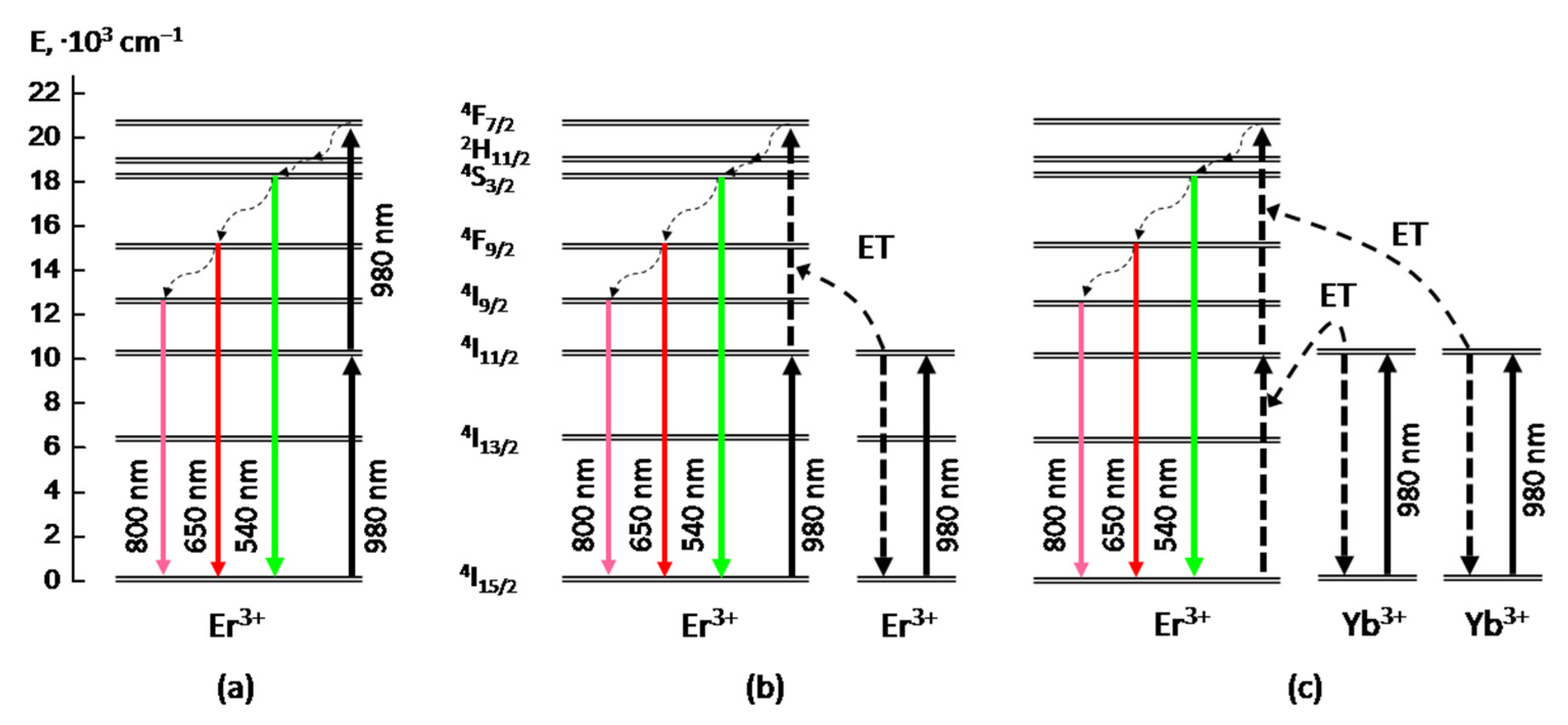 Gels 08 00347 g005 550