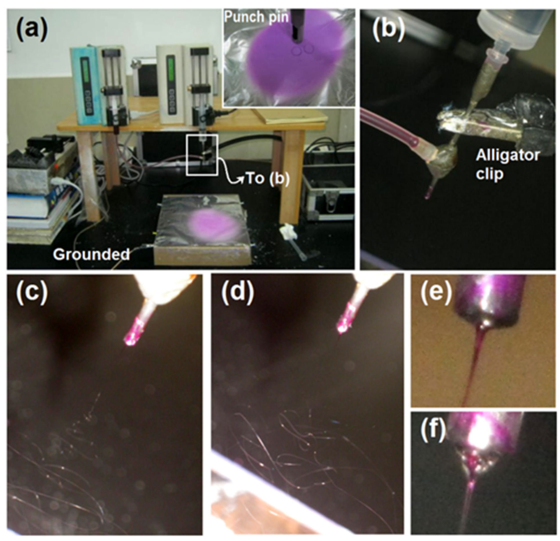 Gels 08 00357 g002 550