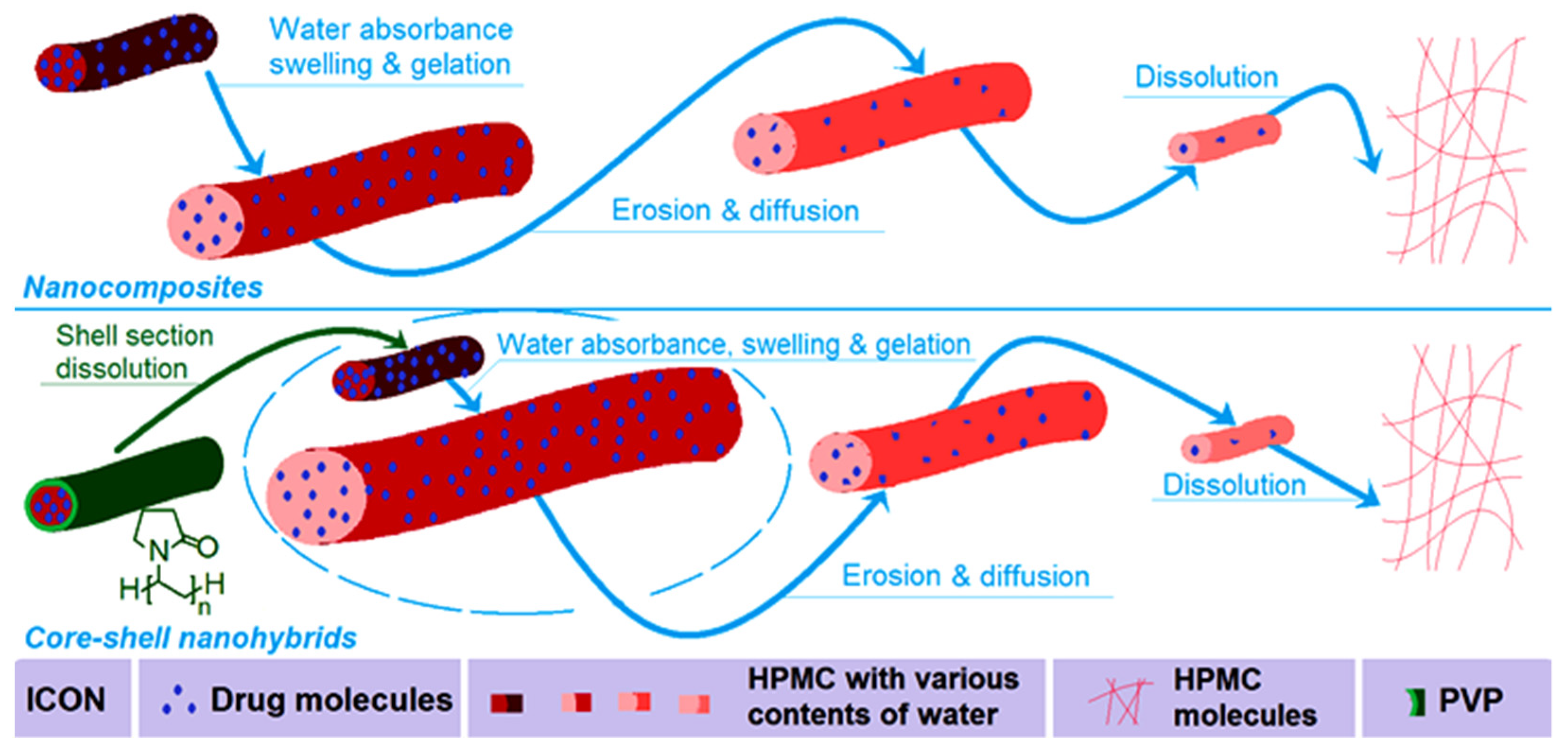 Gels 08 00357 g011 550