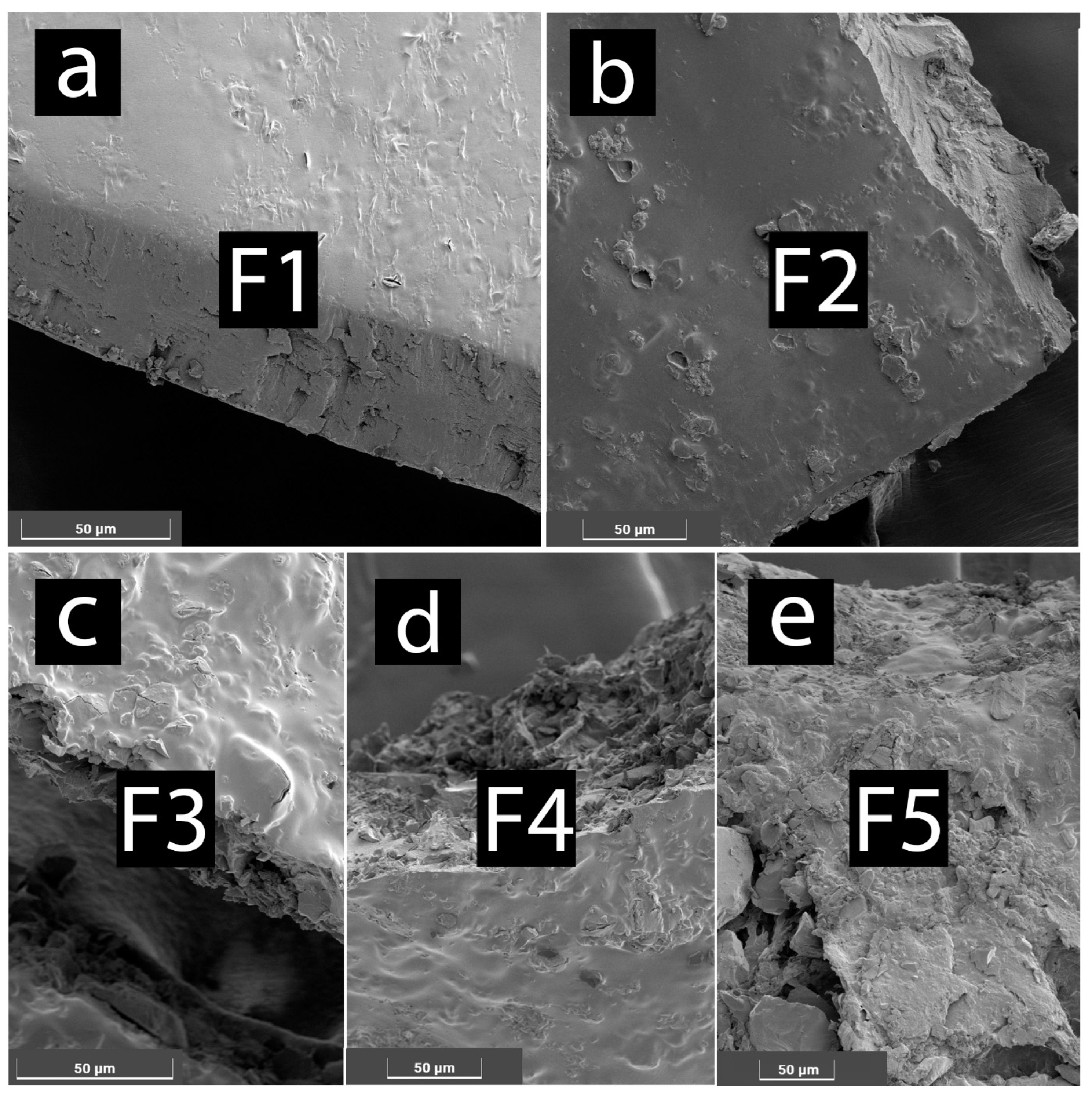 Gels 08 00358 g002 550