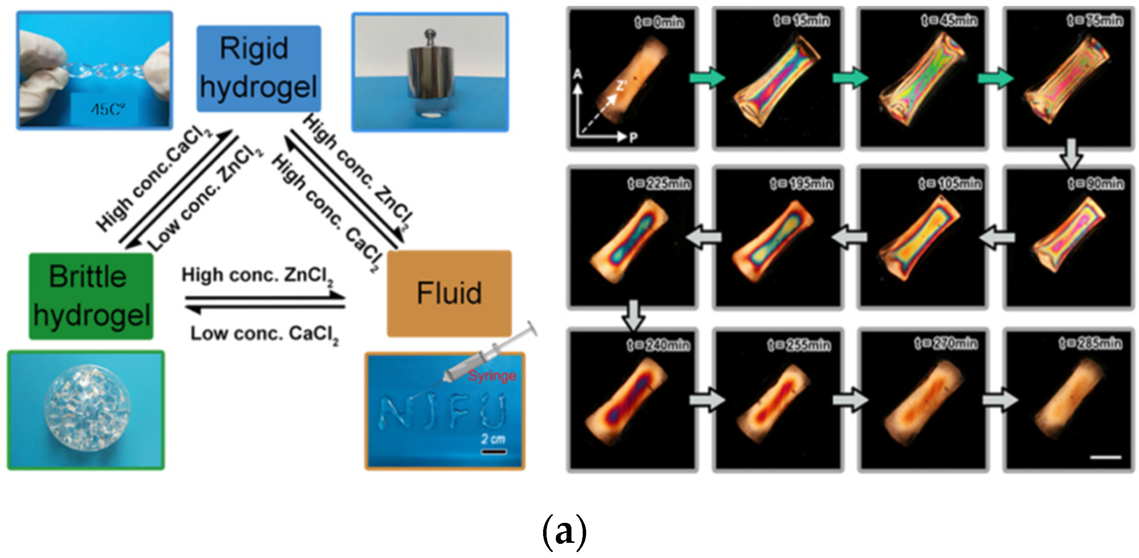 Gels 08 00364 g003a Gels 08 00364 g003a