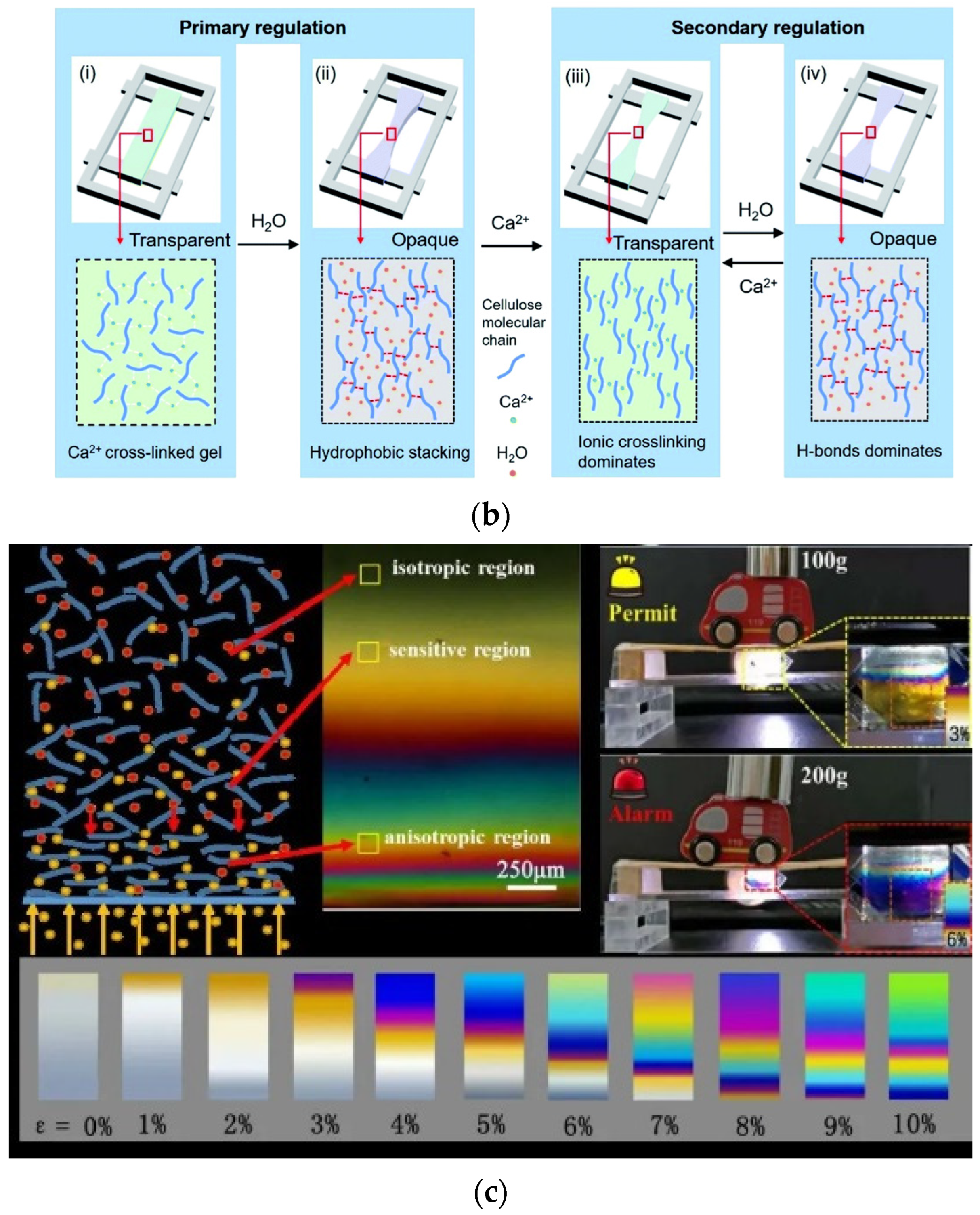 Gels 08 00364 g003b Gels 08 00364 g003b