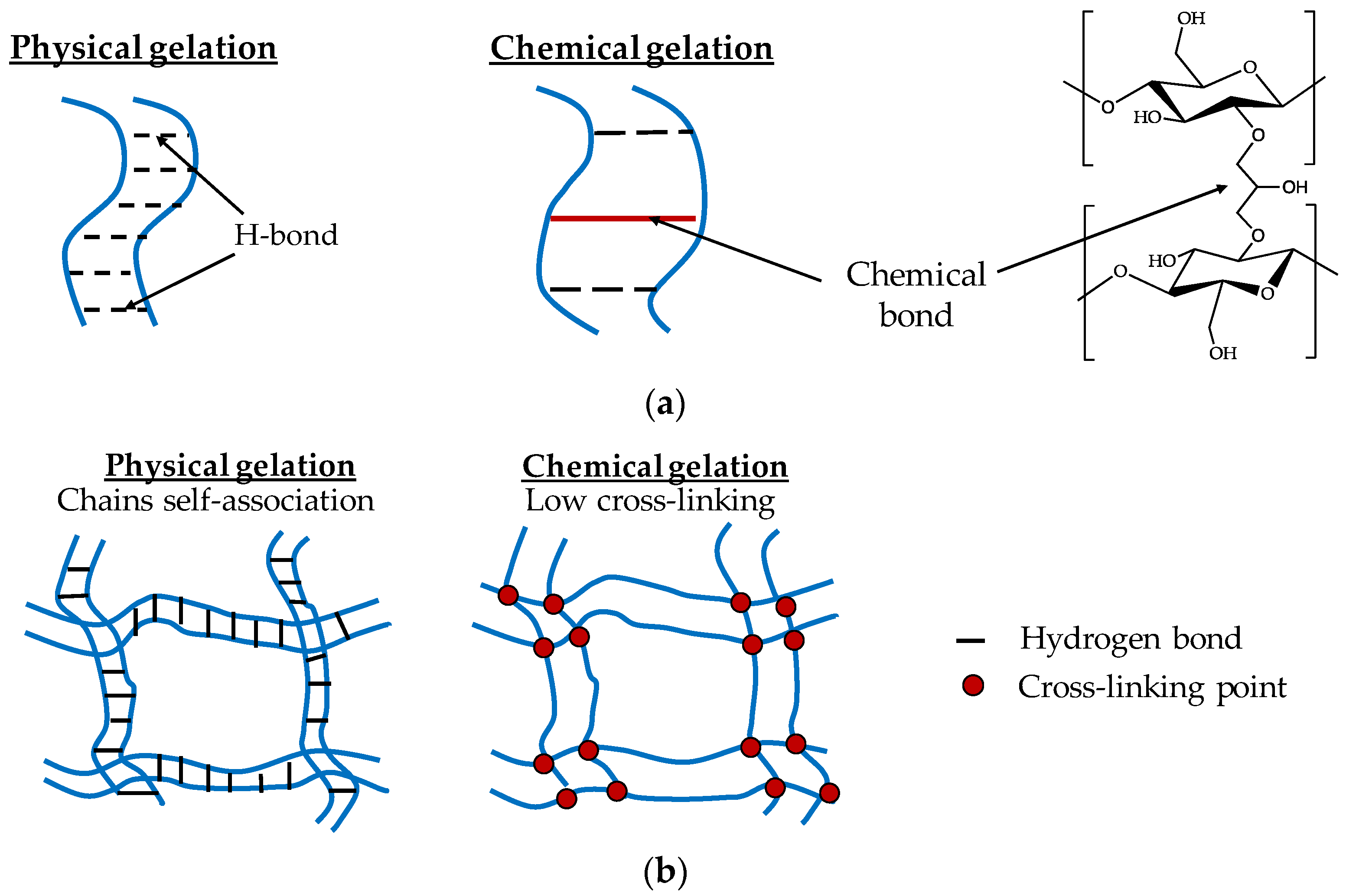 Gels 08 00364 g004a Gels 08 00364 g004a