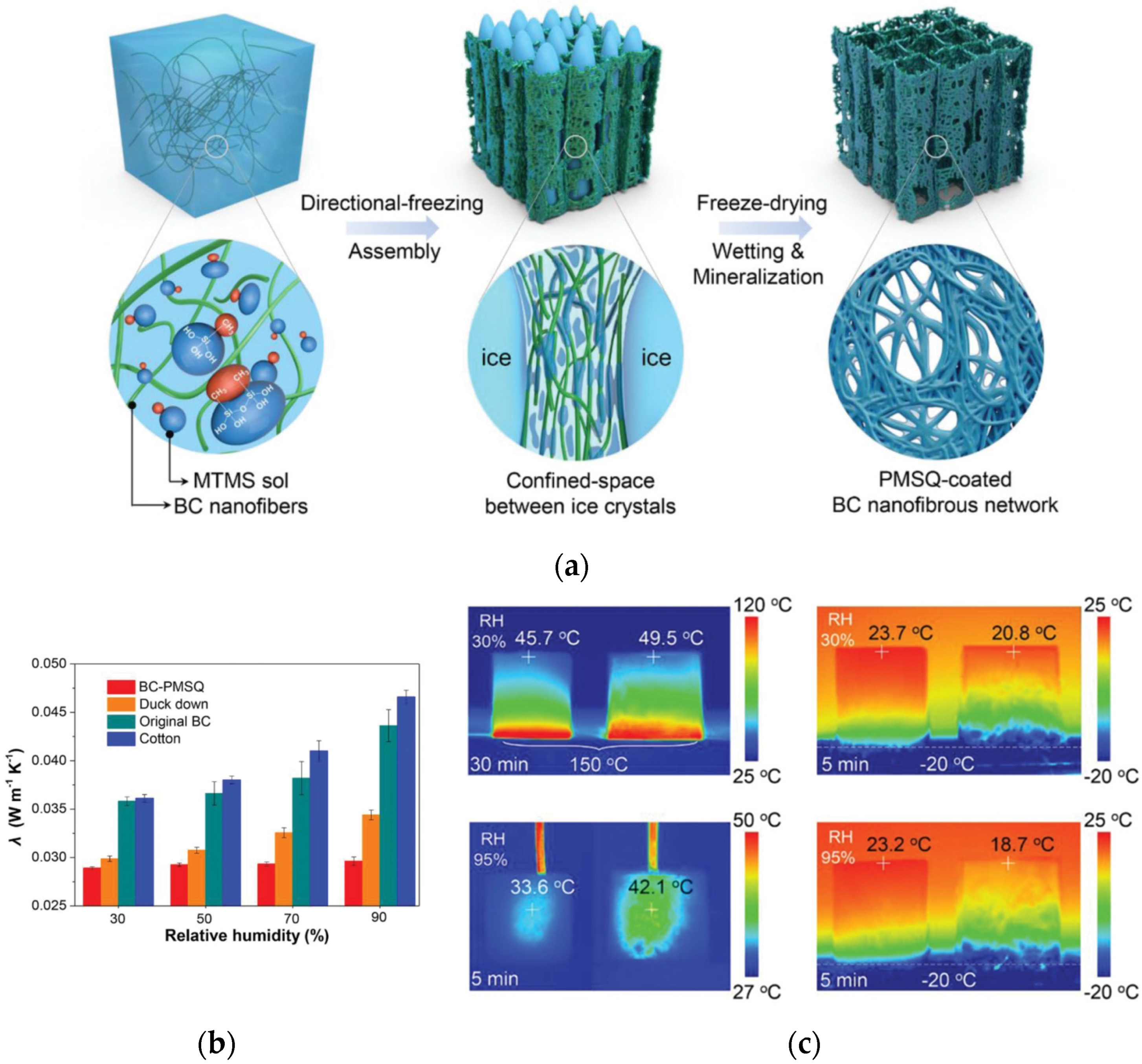 Gels 08 00364 g006 Gels 08 00364 g006