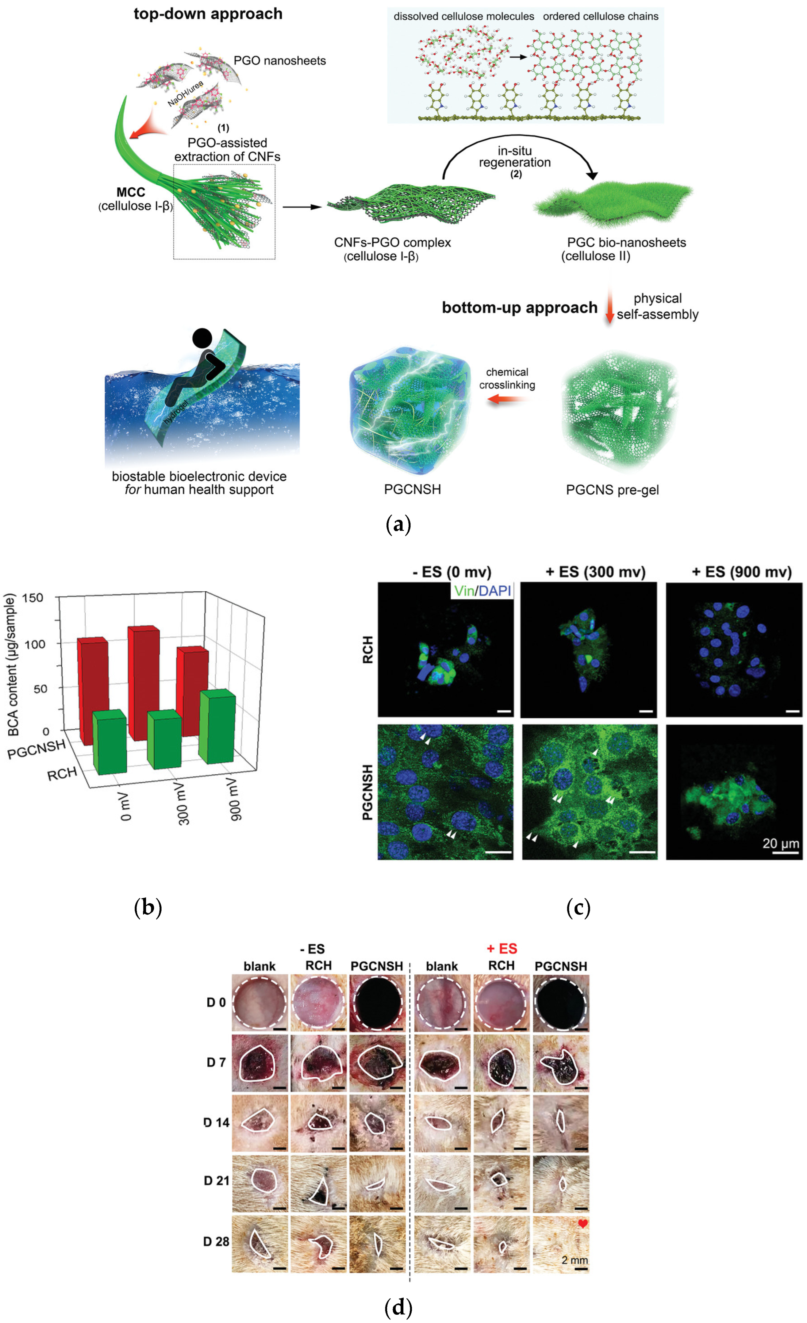 Gels 08 00364 g007 Gels 08 00364 g007
