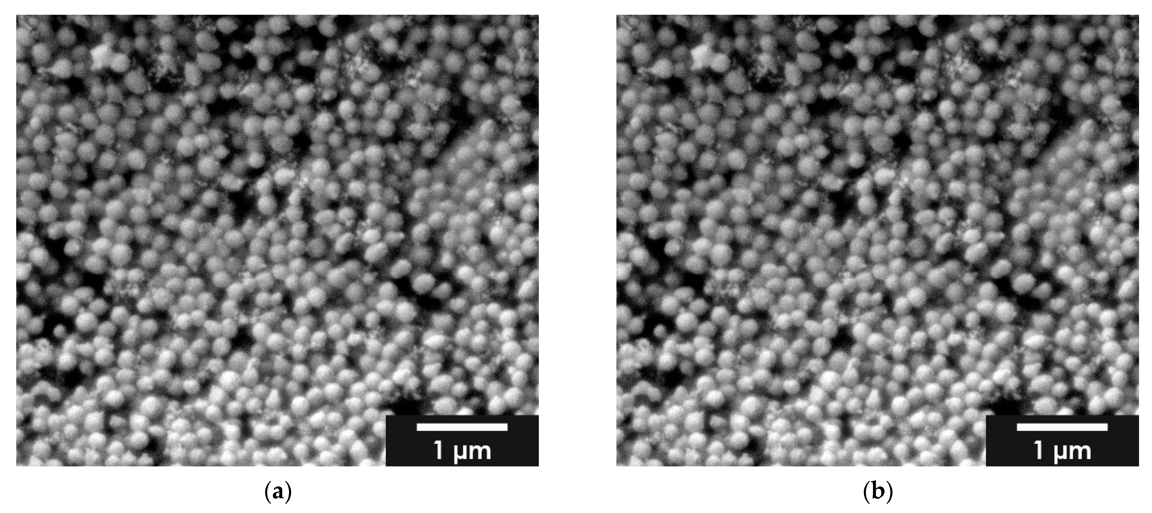 Gels 08 00365 g003 550