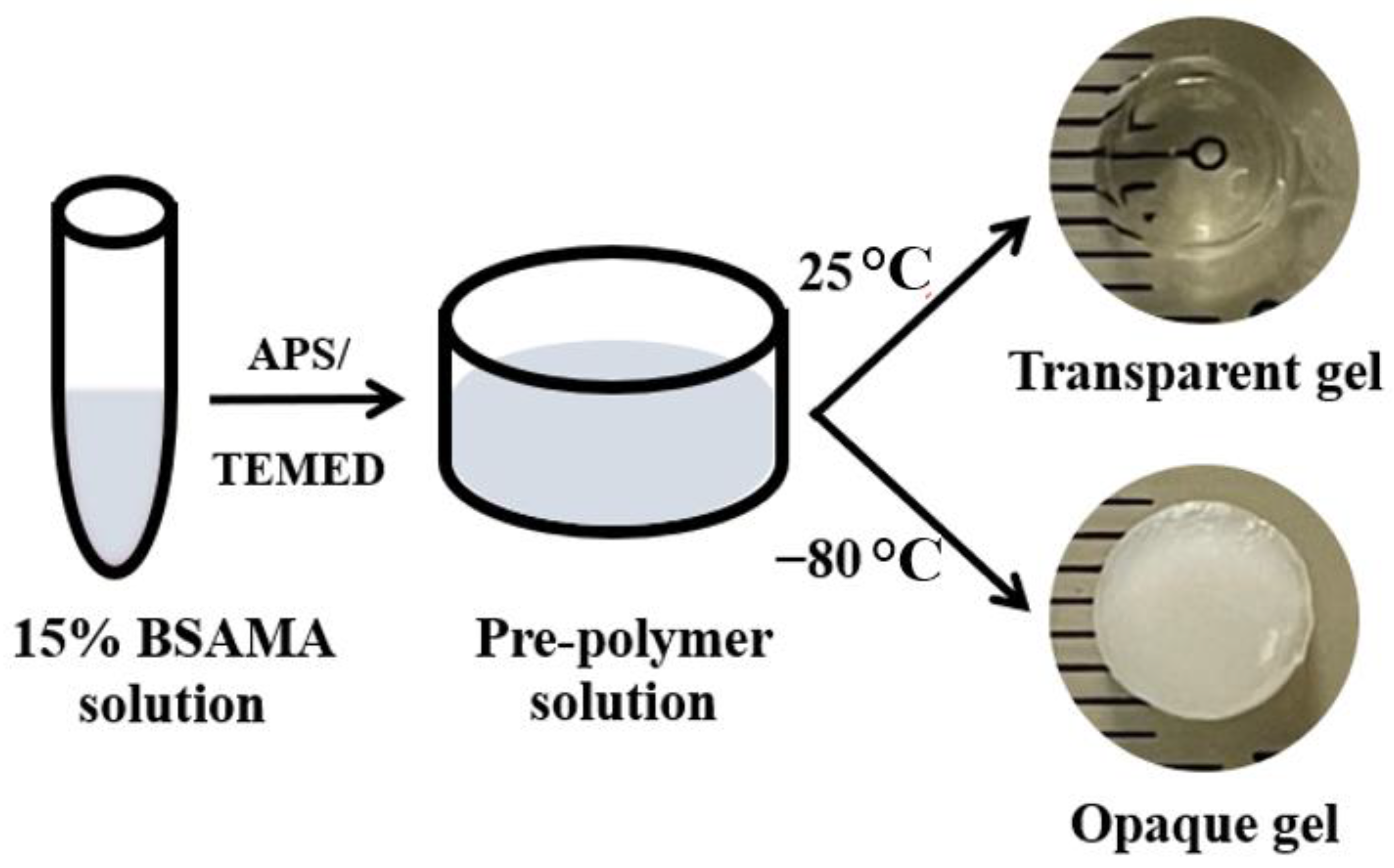 Gels 08 00367 sch001