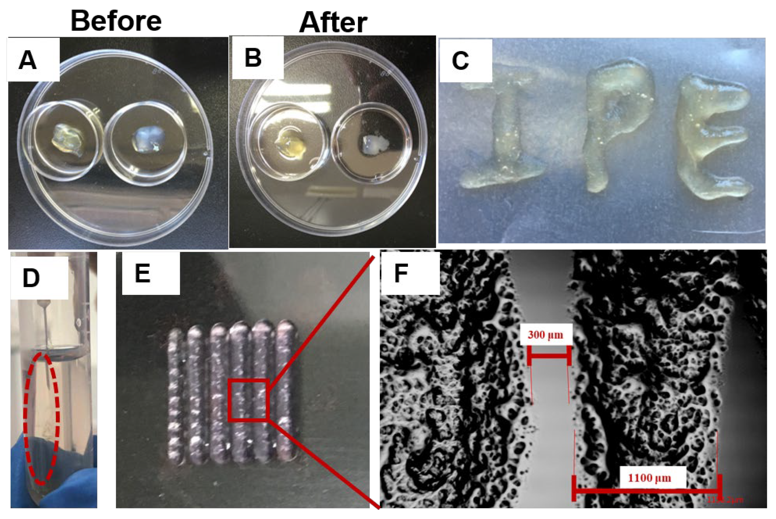Gels 08 00372 g004 550