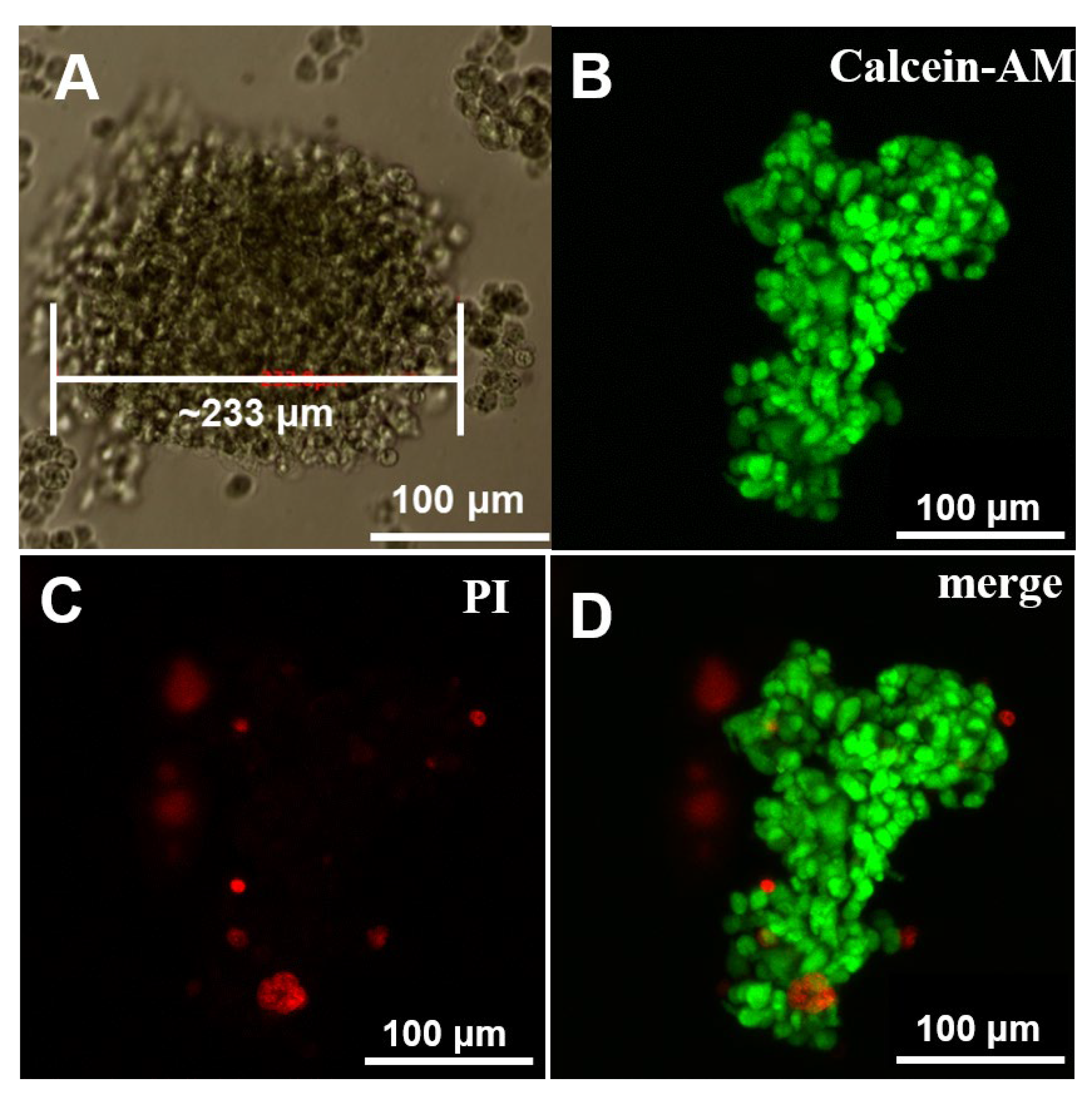 Gels 08 00372 g005 550