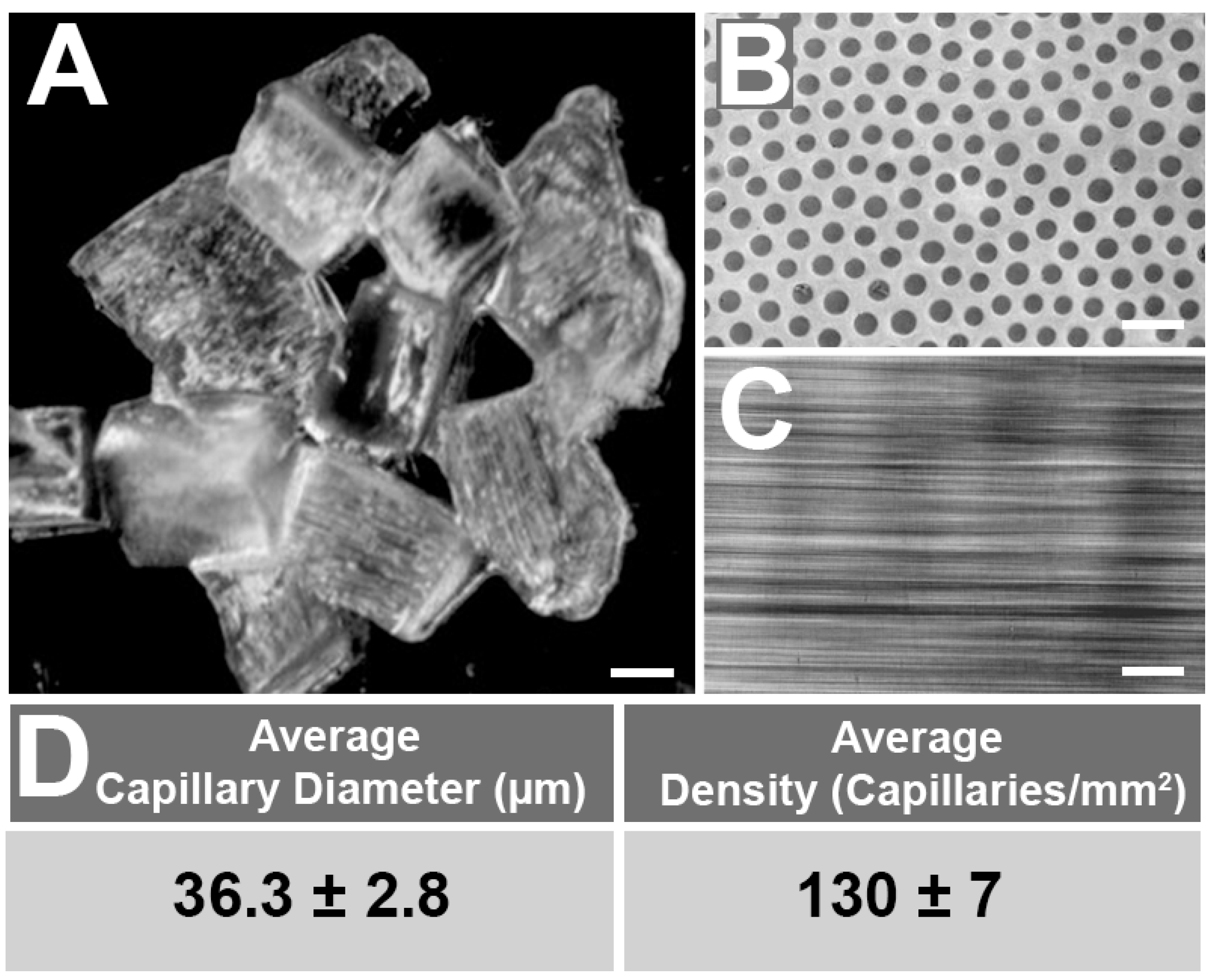 Gels 08 00376 g001 Gels 08 00376 g001