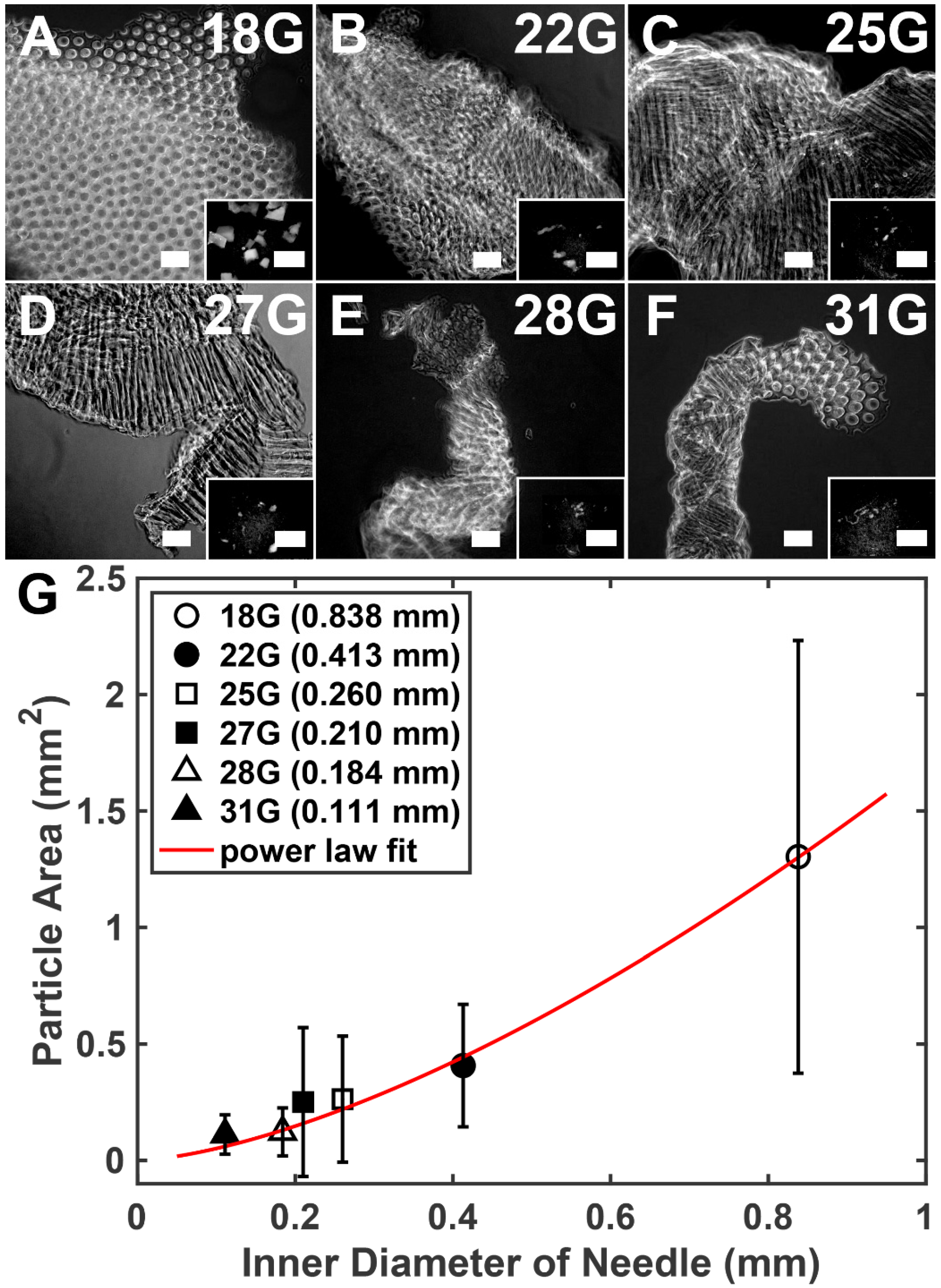 Gels 08 00376 g003 Gels 08 00376 g003