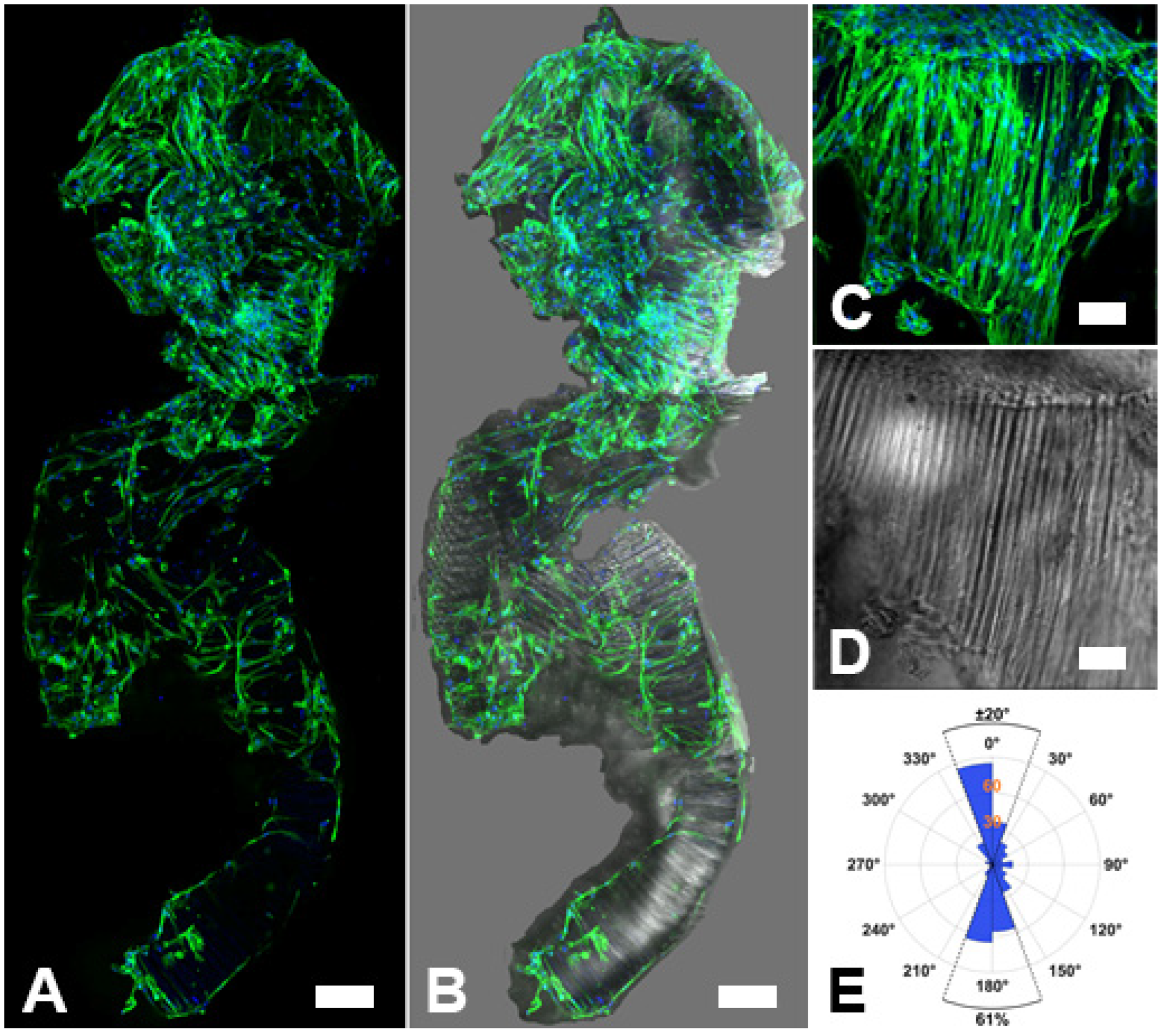 Gels 08 00376 g007 Gels 08 00376 g007