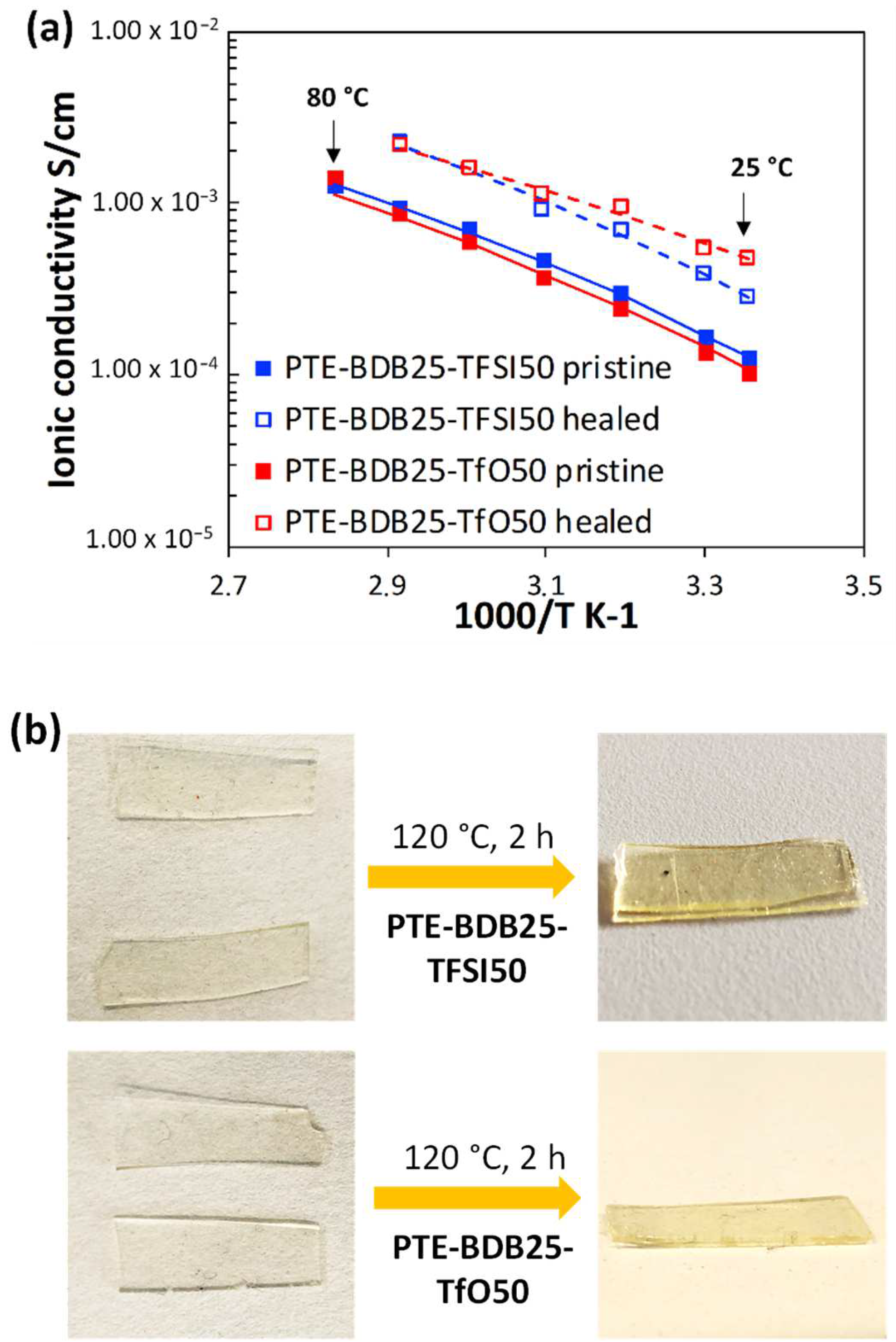 Gels 08 00381 g007 550