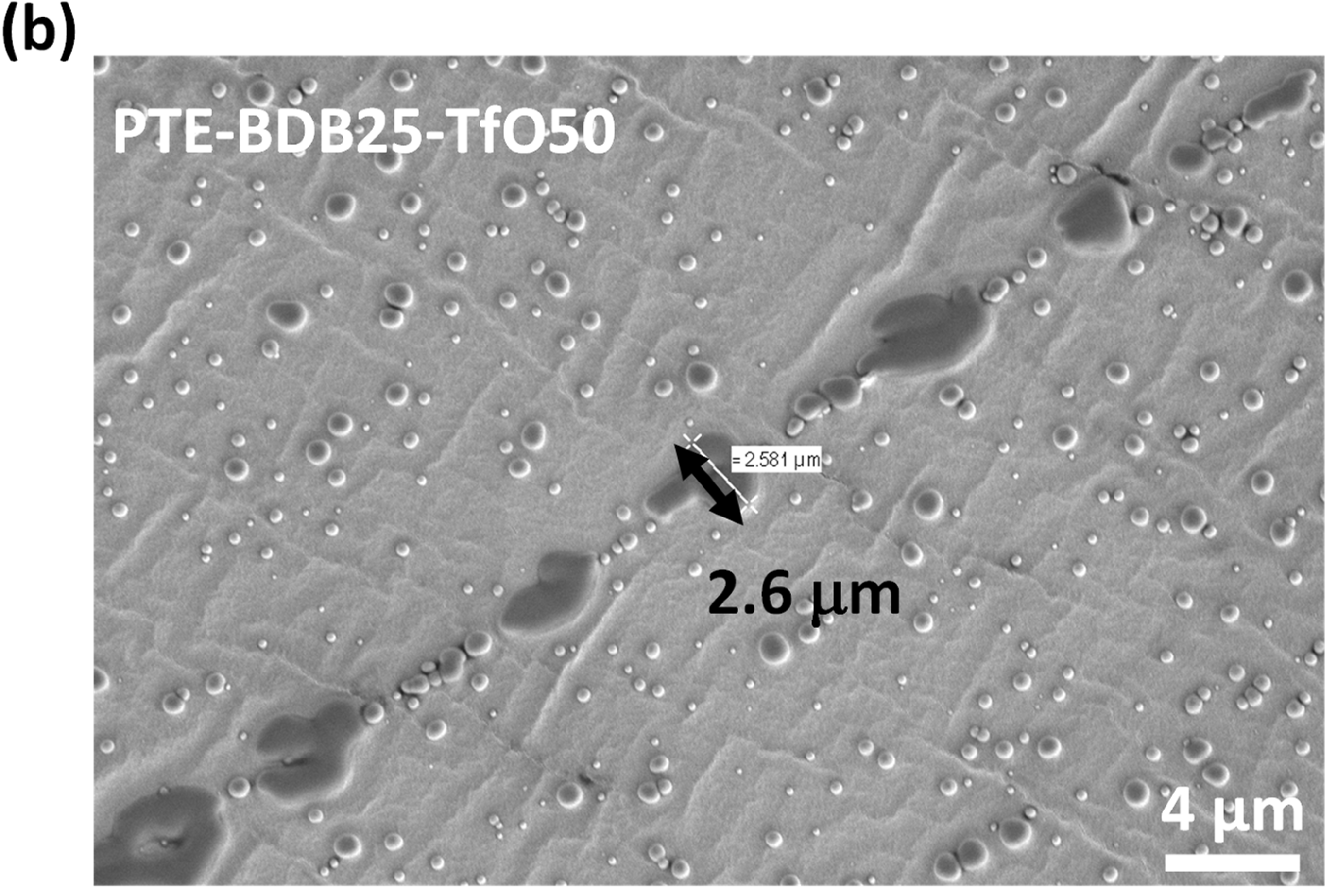 Gels 08 00381 g008b 550