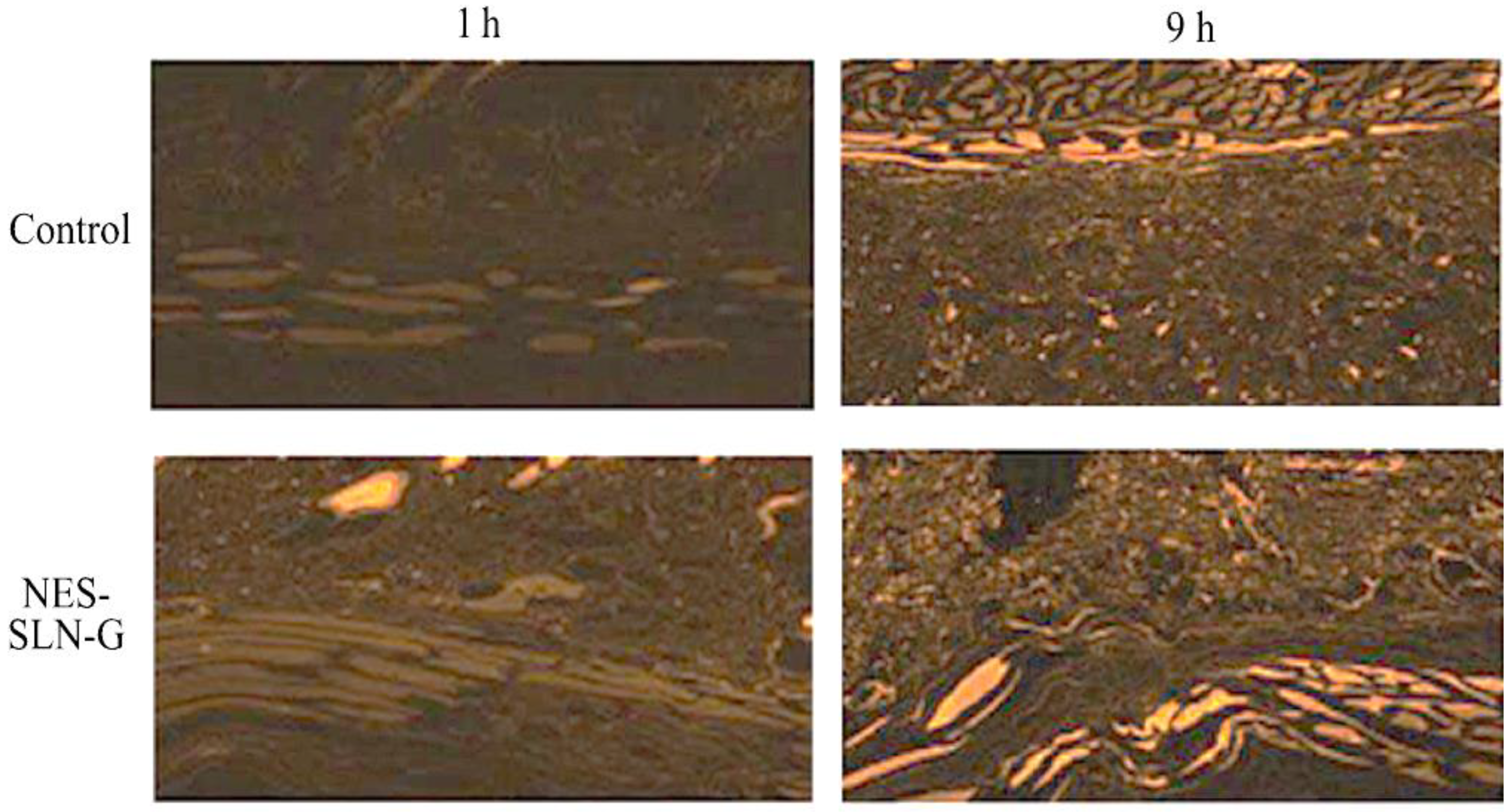 Gels 08 00385 g008 550
