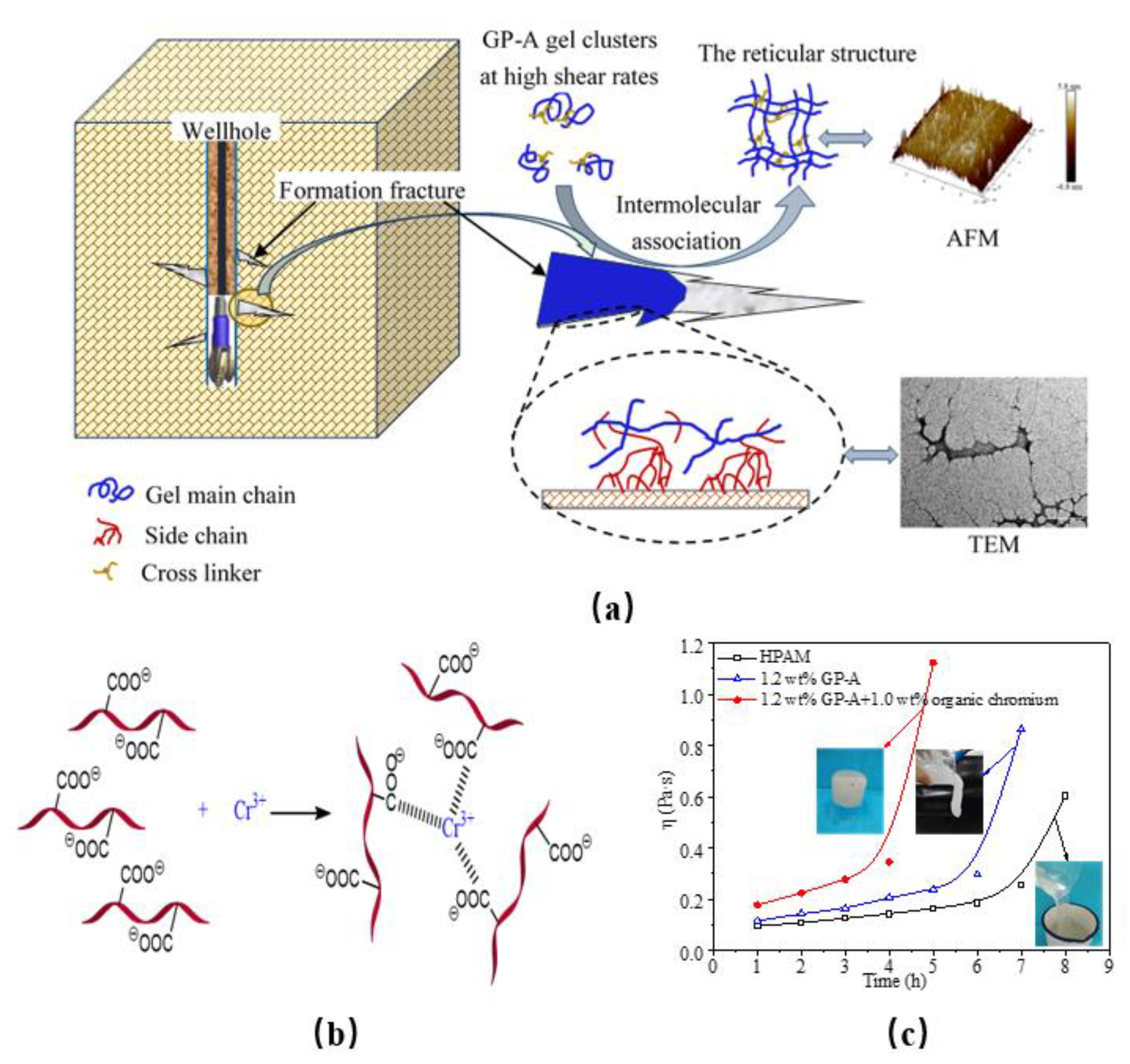 Gels 08 00386 g003 550