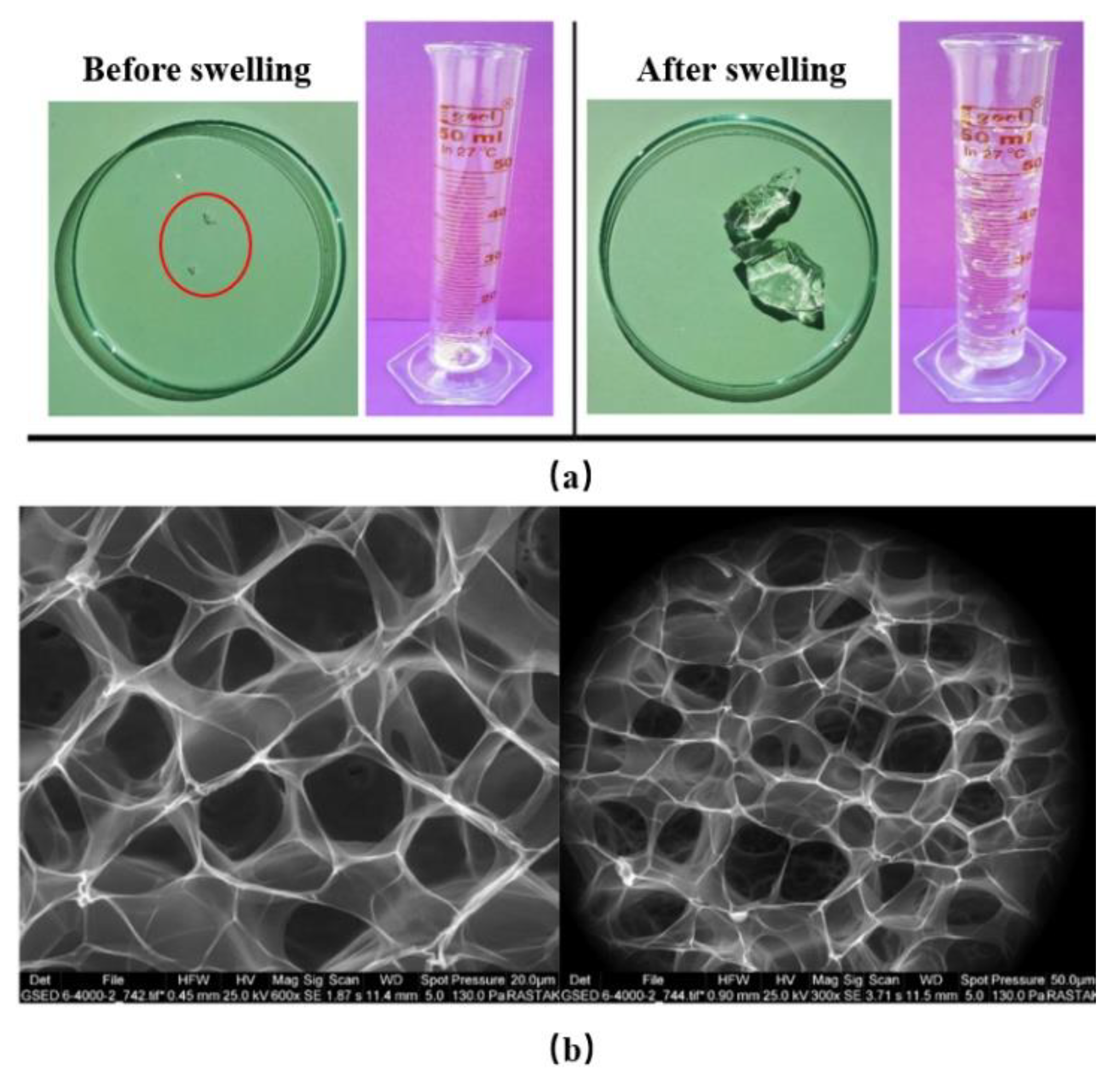 Gels 08 00386 g004 550