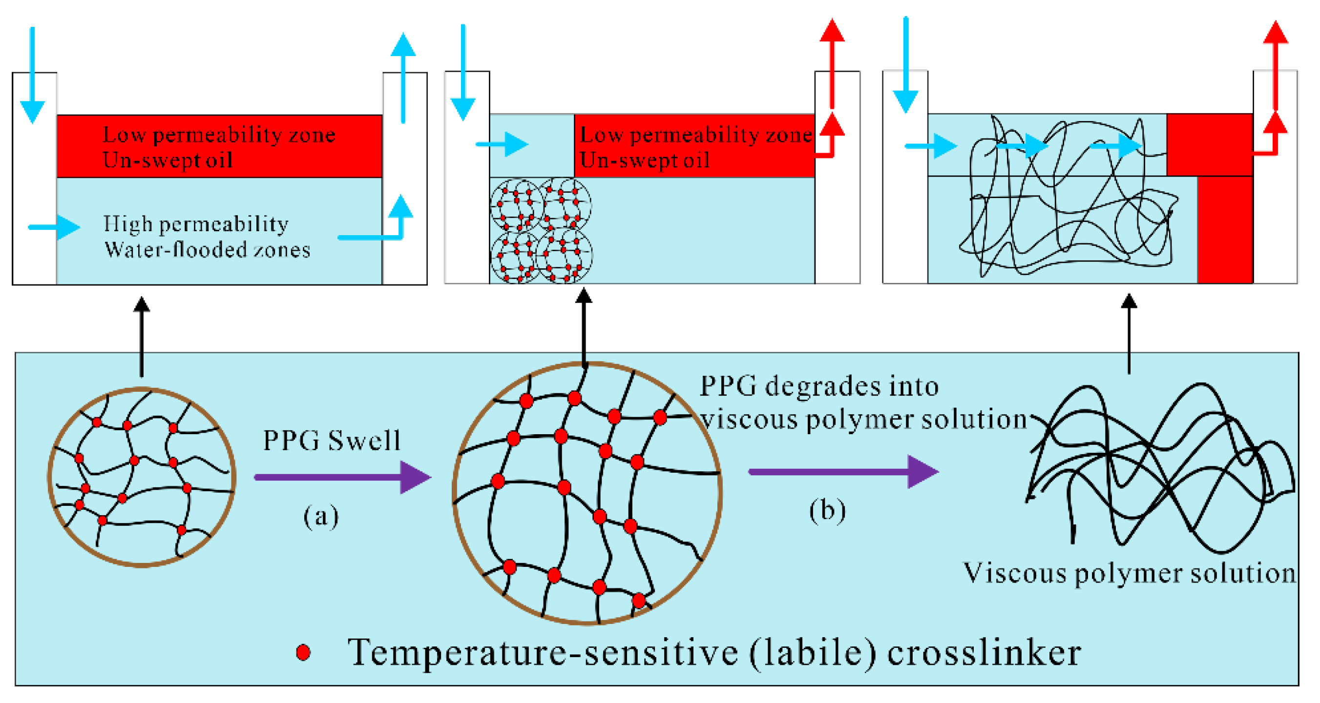 Gels 08 00386 g005 550