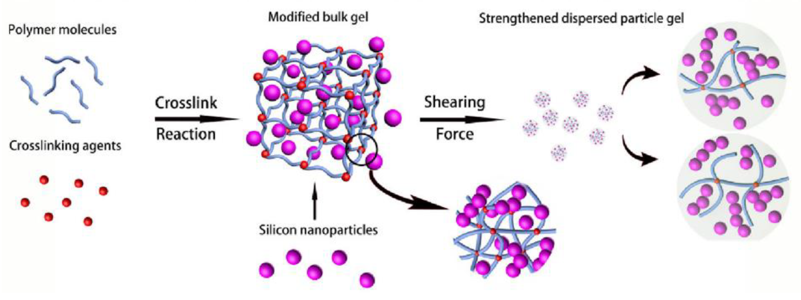 Gels 08 00386 g006 550