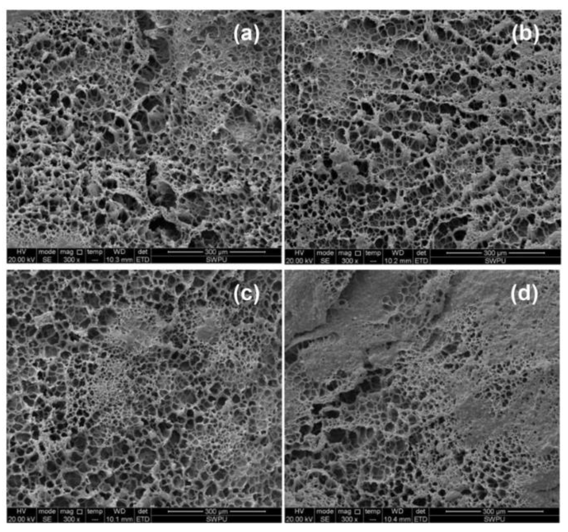 Gels 08 00386 g009 550