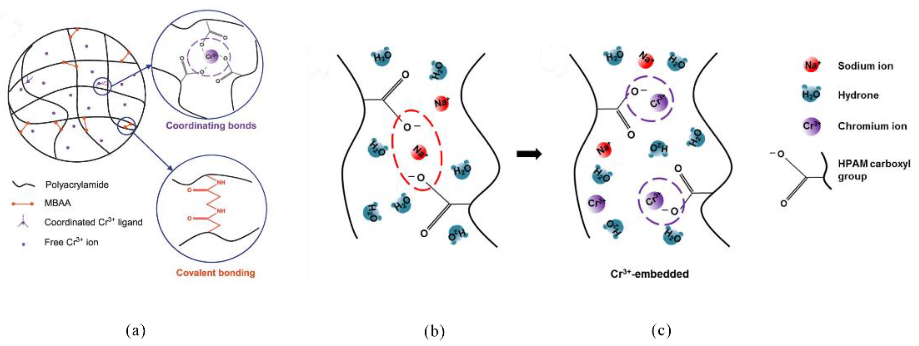 Gels 08 00386 g011 550