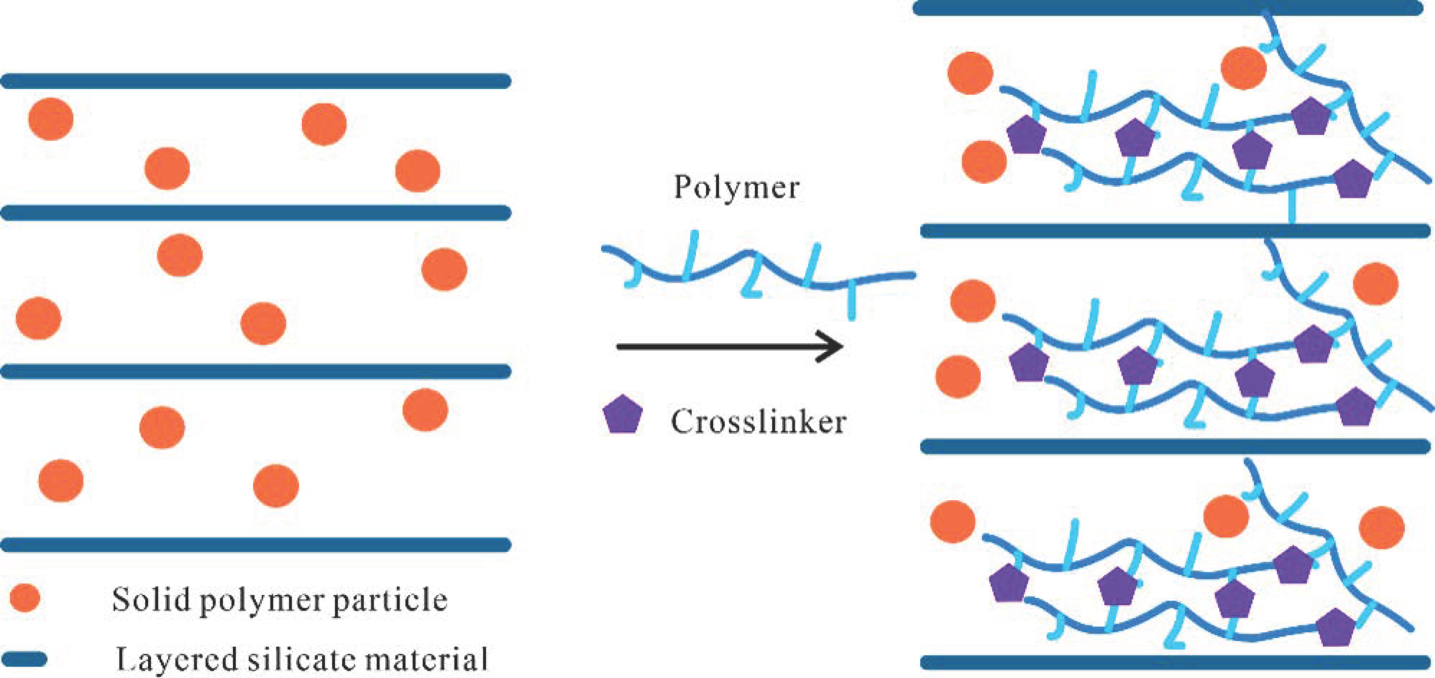 Gels 08 00386 g015 550