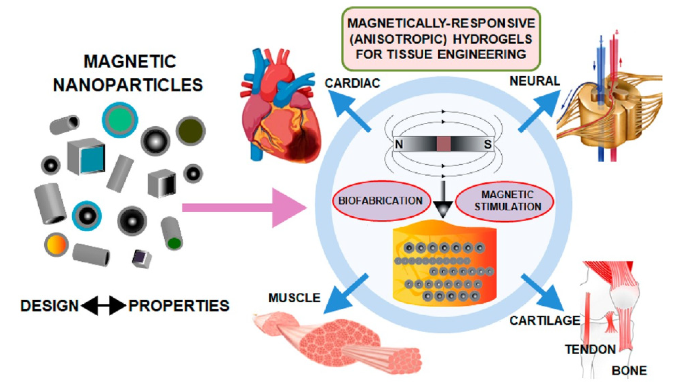 Gels 08 00389 g003 550