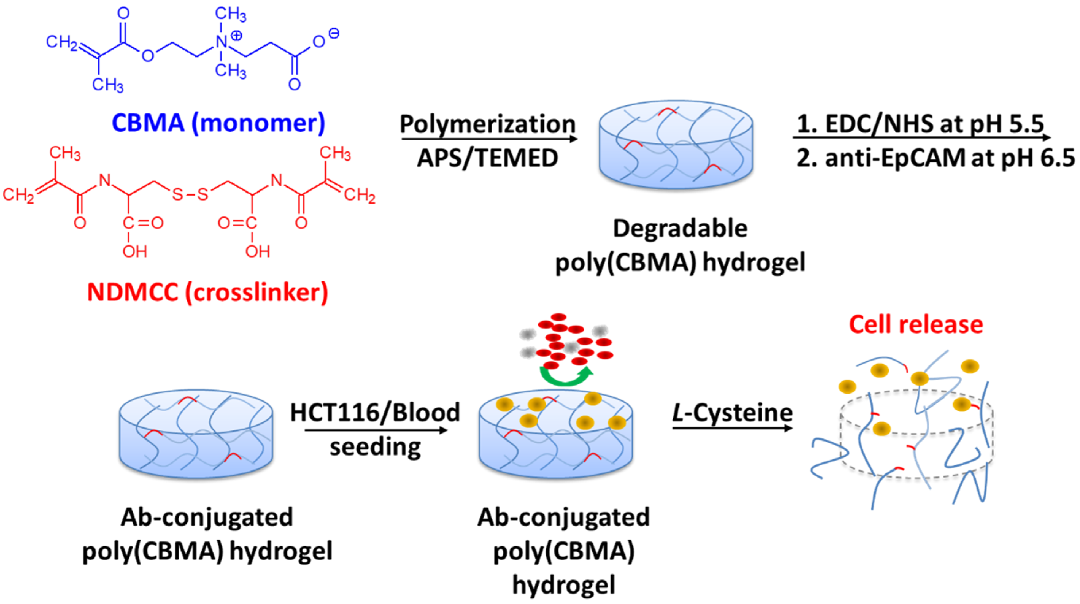 Gels 08 00391 g001 550