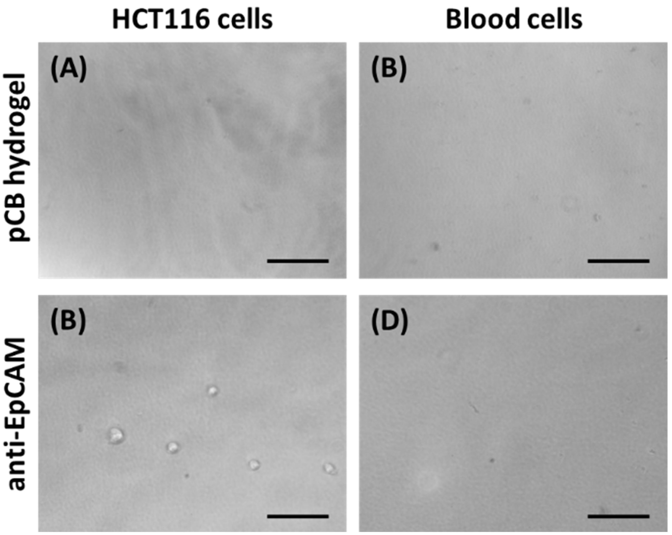 Gels 08 00391 g002 550
