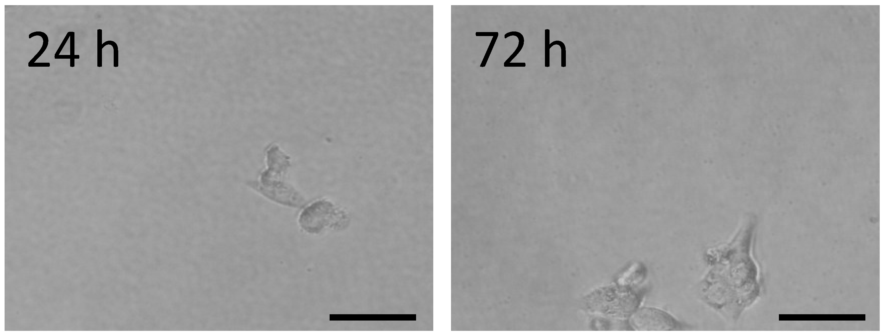 Gels 08 00391 g005 550