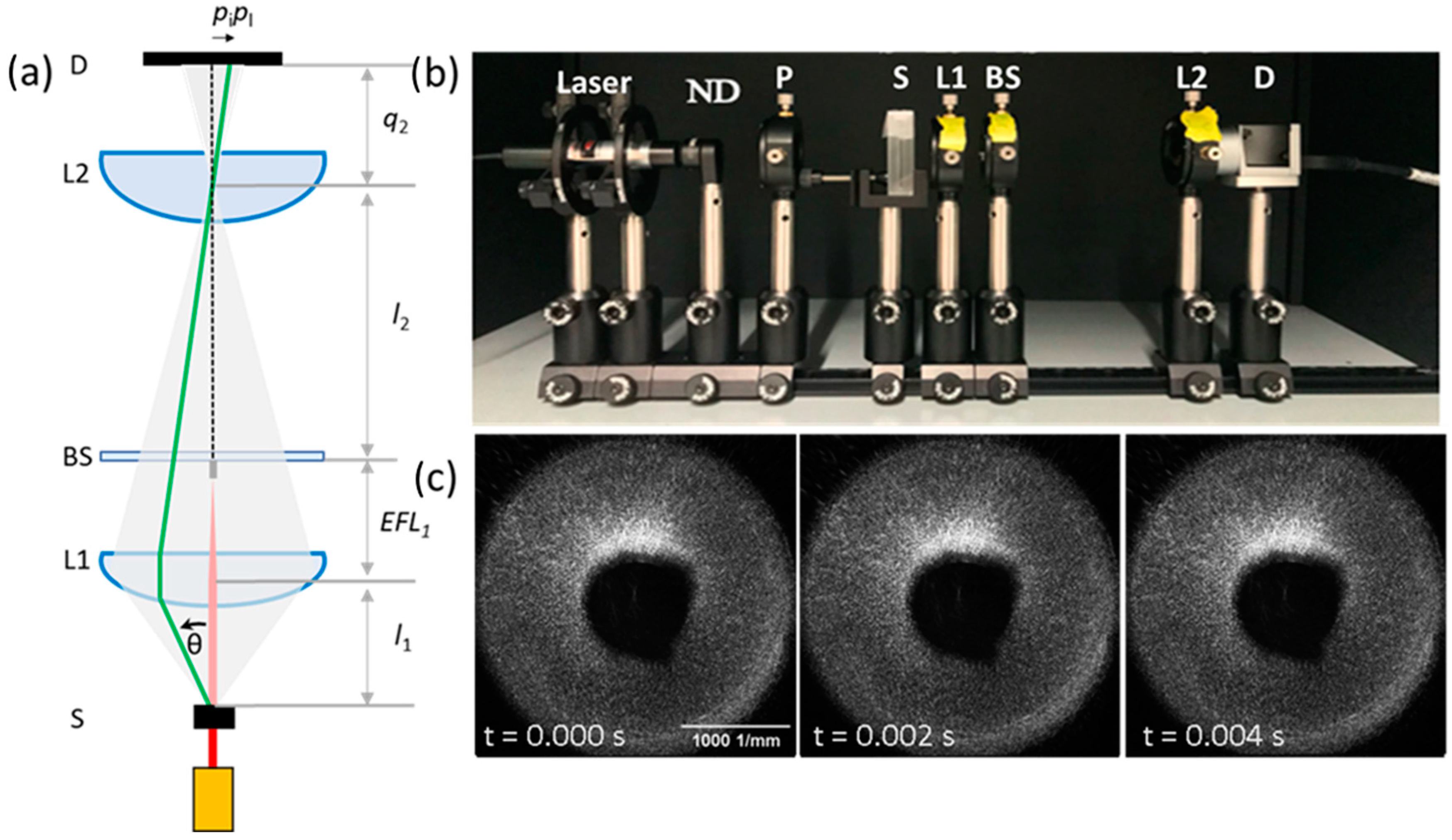 Gels 08 00394 g006 Gels 08 00394 g006
