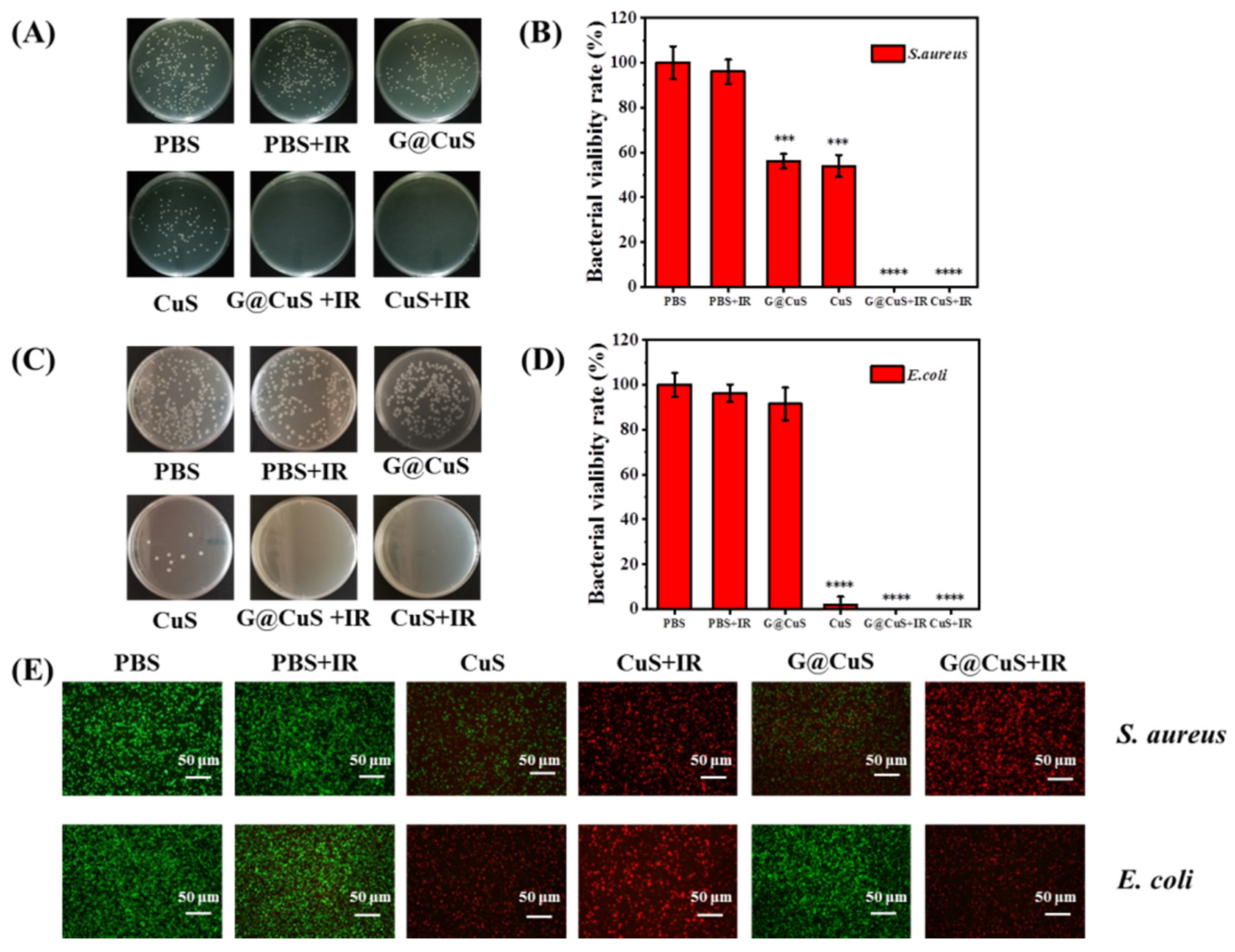 Gels 08 00397 g003 550