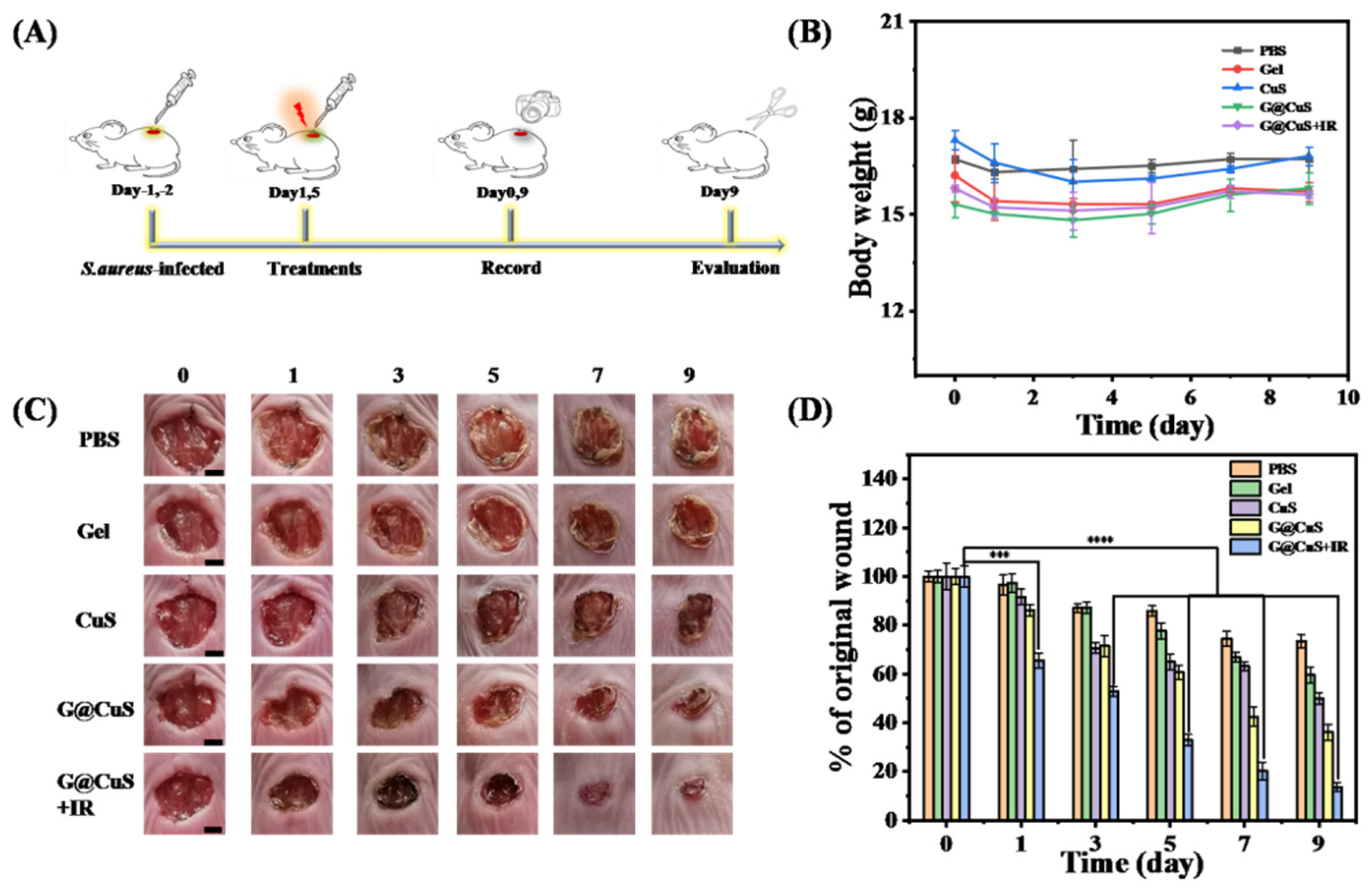 Gels 08 00397 g005 550
