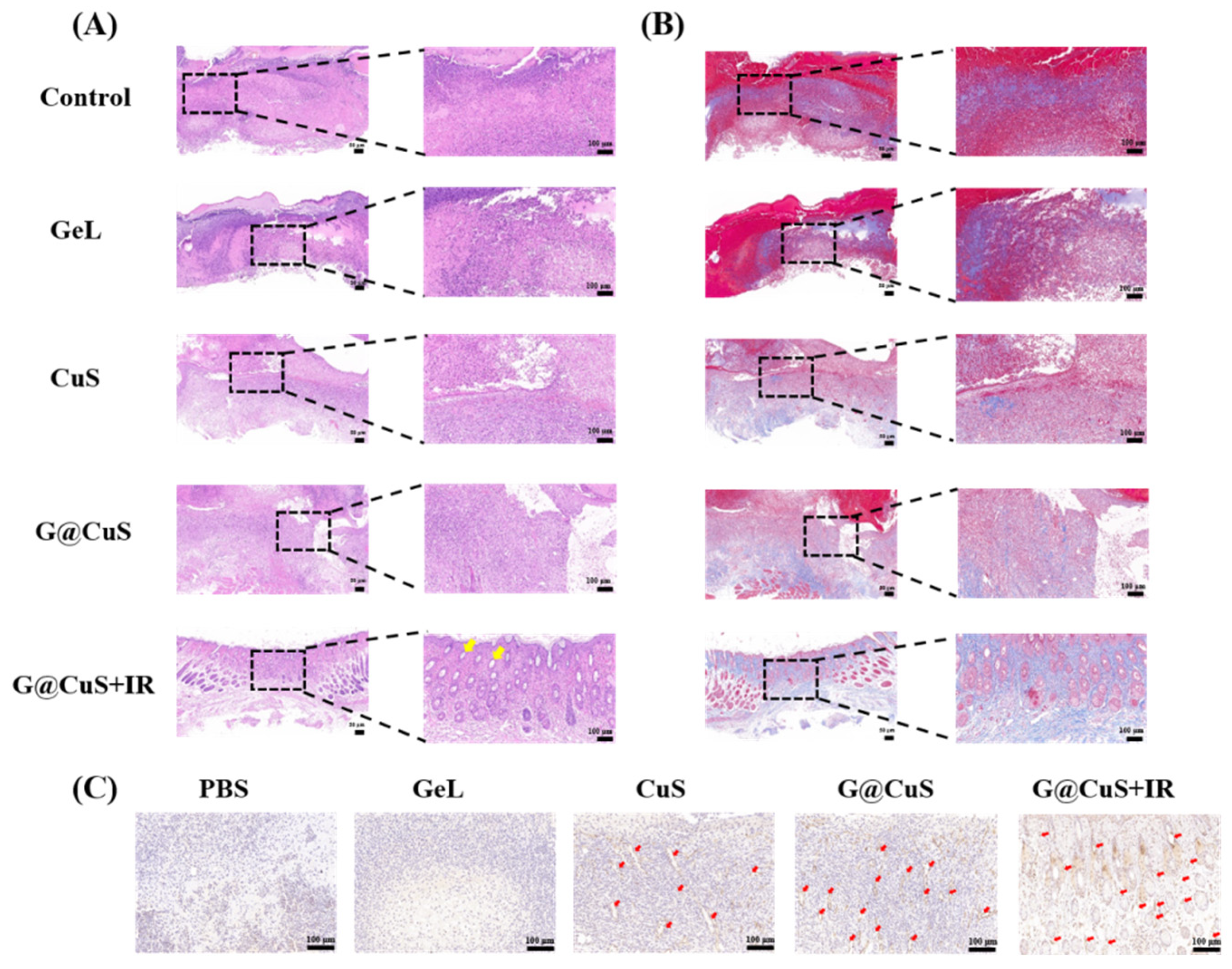 Gels 08 00397 g007 550