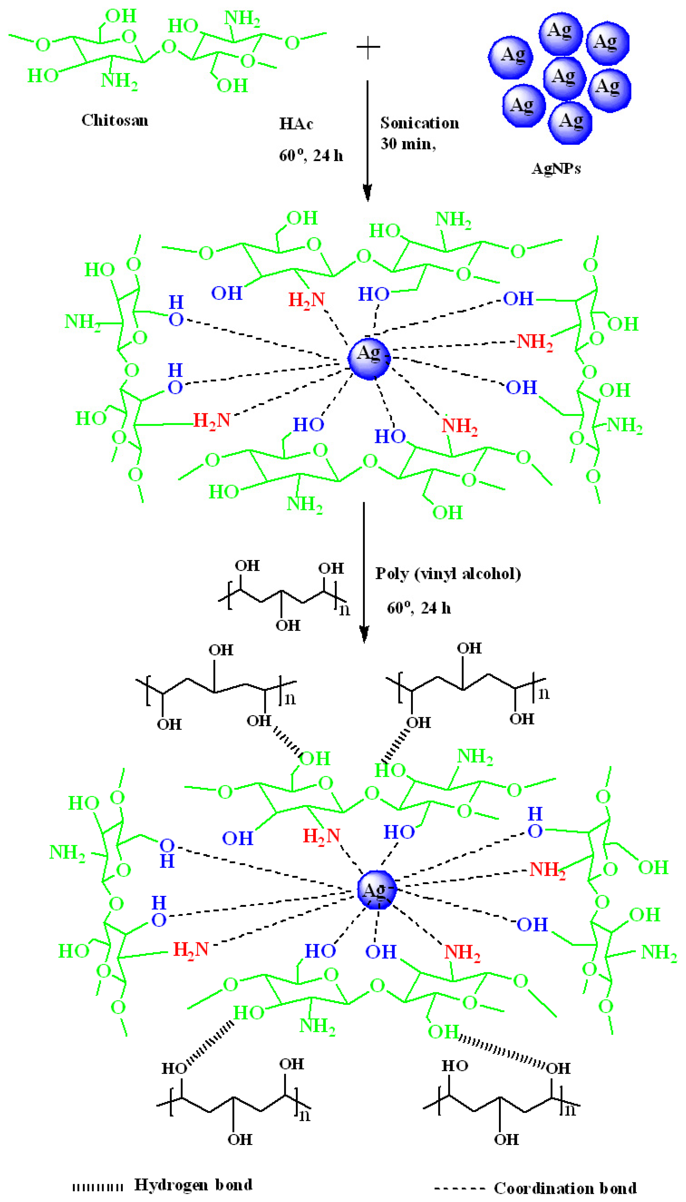Gels 08 00401 g010 550