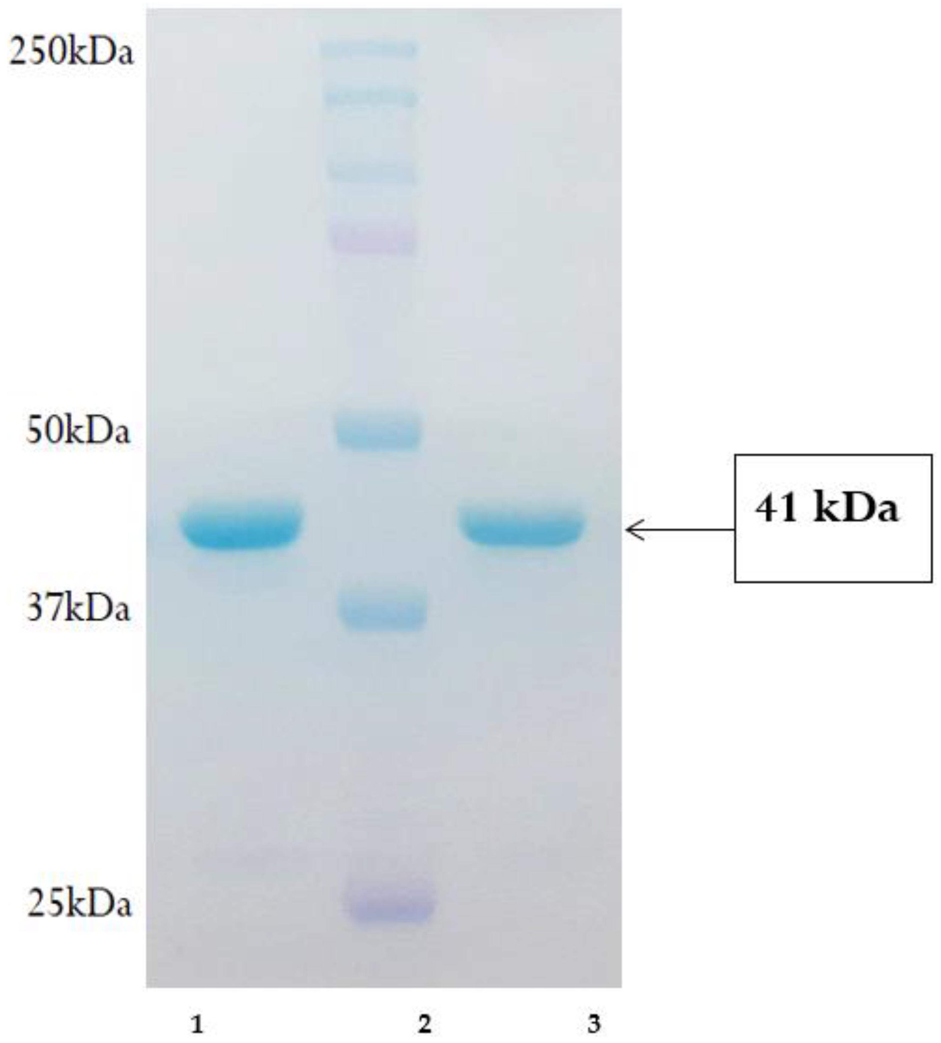 Gels 08 00403 g003 550