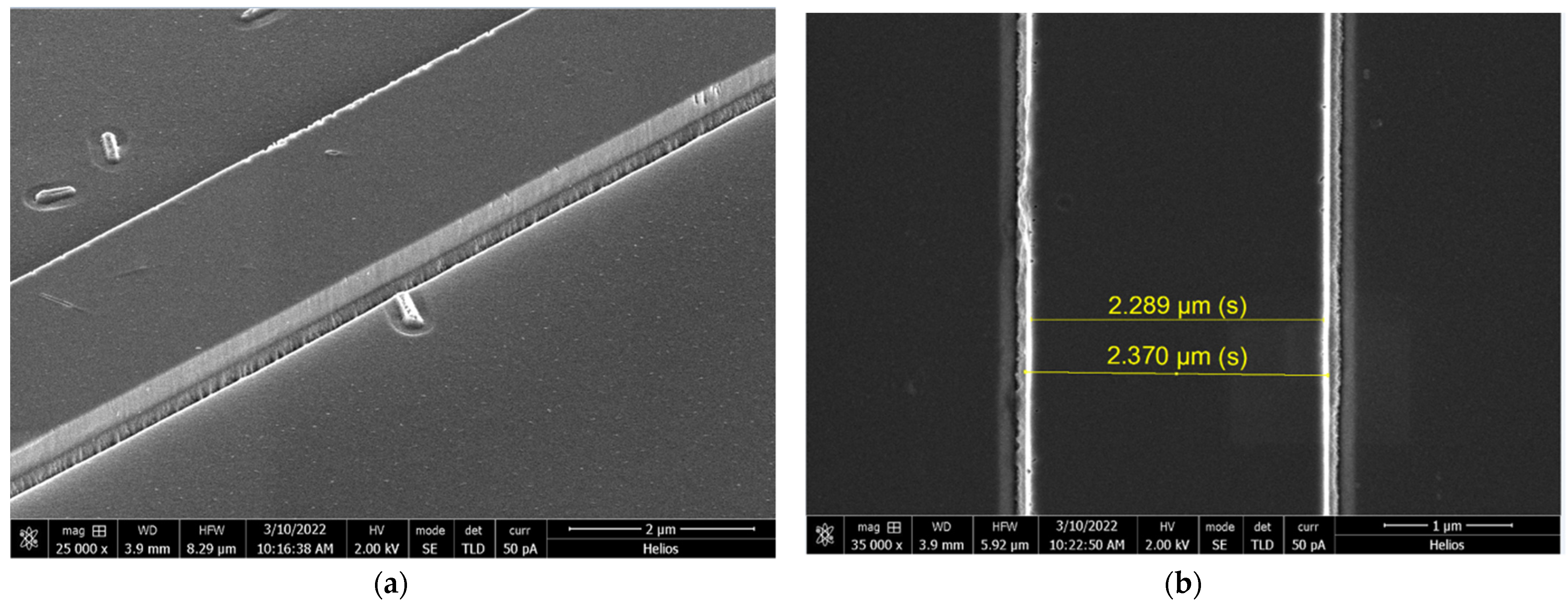 Gels 08 00408 g005 550