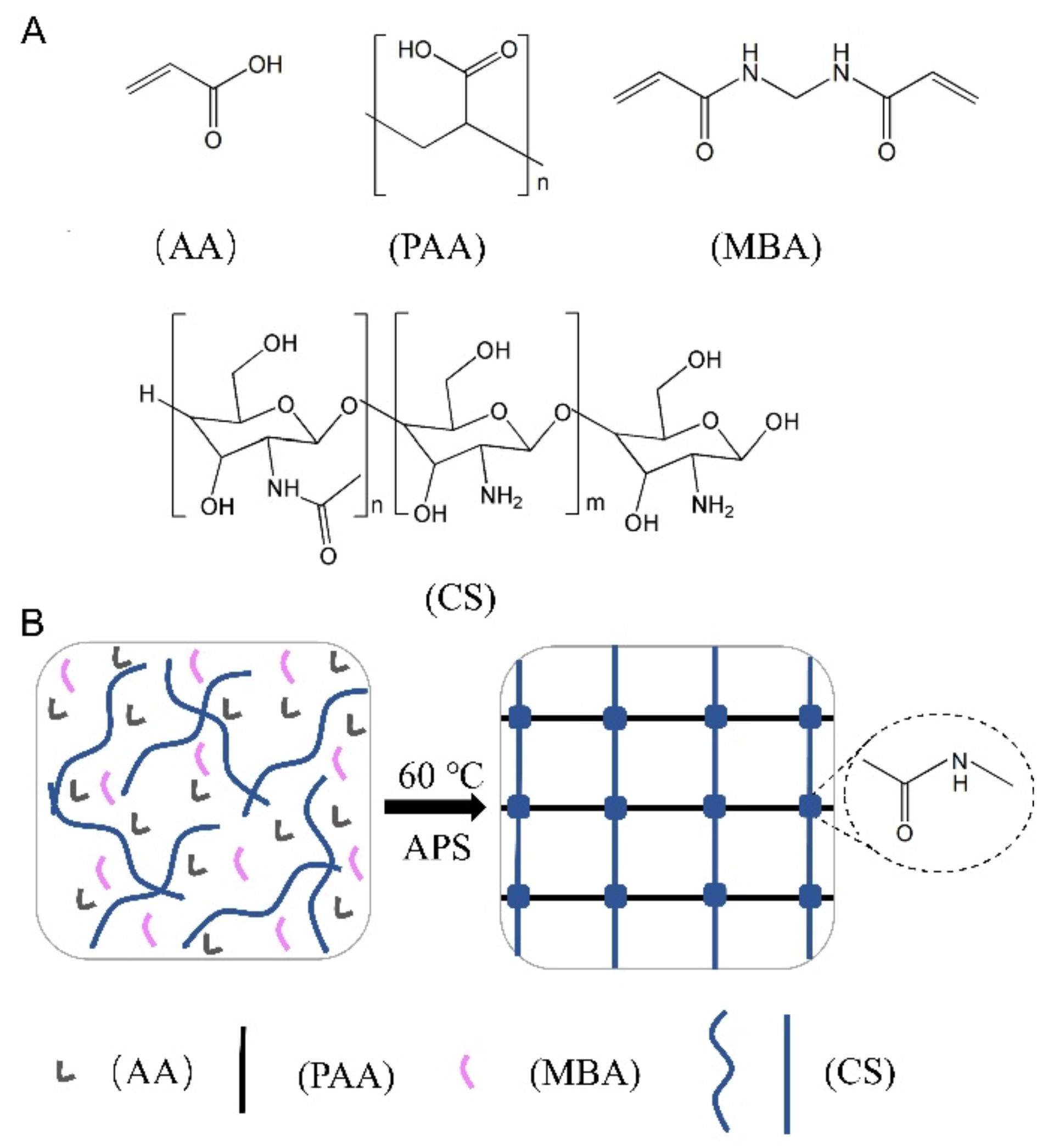 Gels 08 00409 g002 550