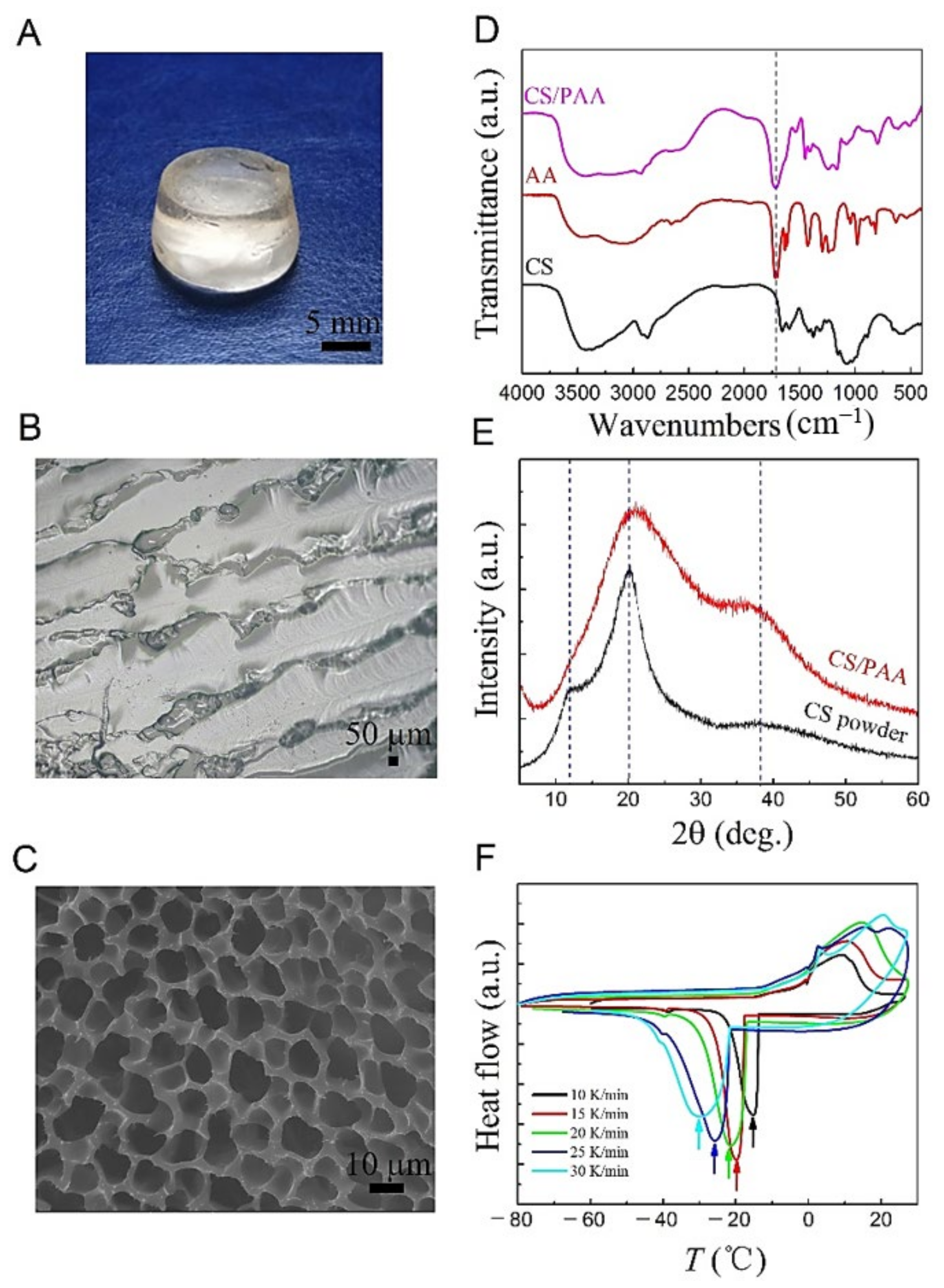 Gels 08 00409 g003 550