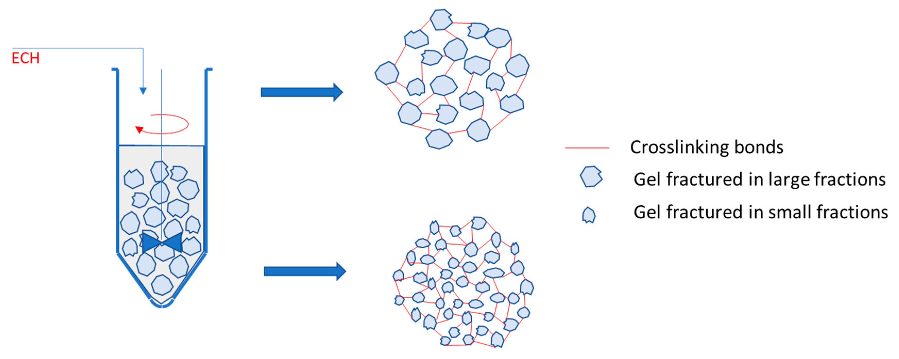 Gels 08 00410 g007 550