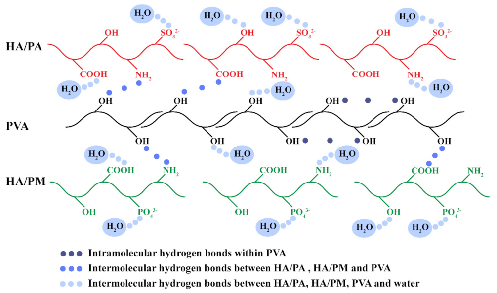 Gels 08 00415 g003 550