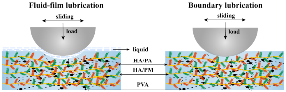 Gels 08 00415 g006 550