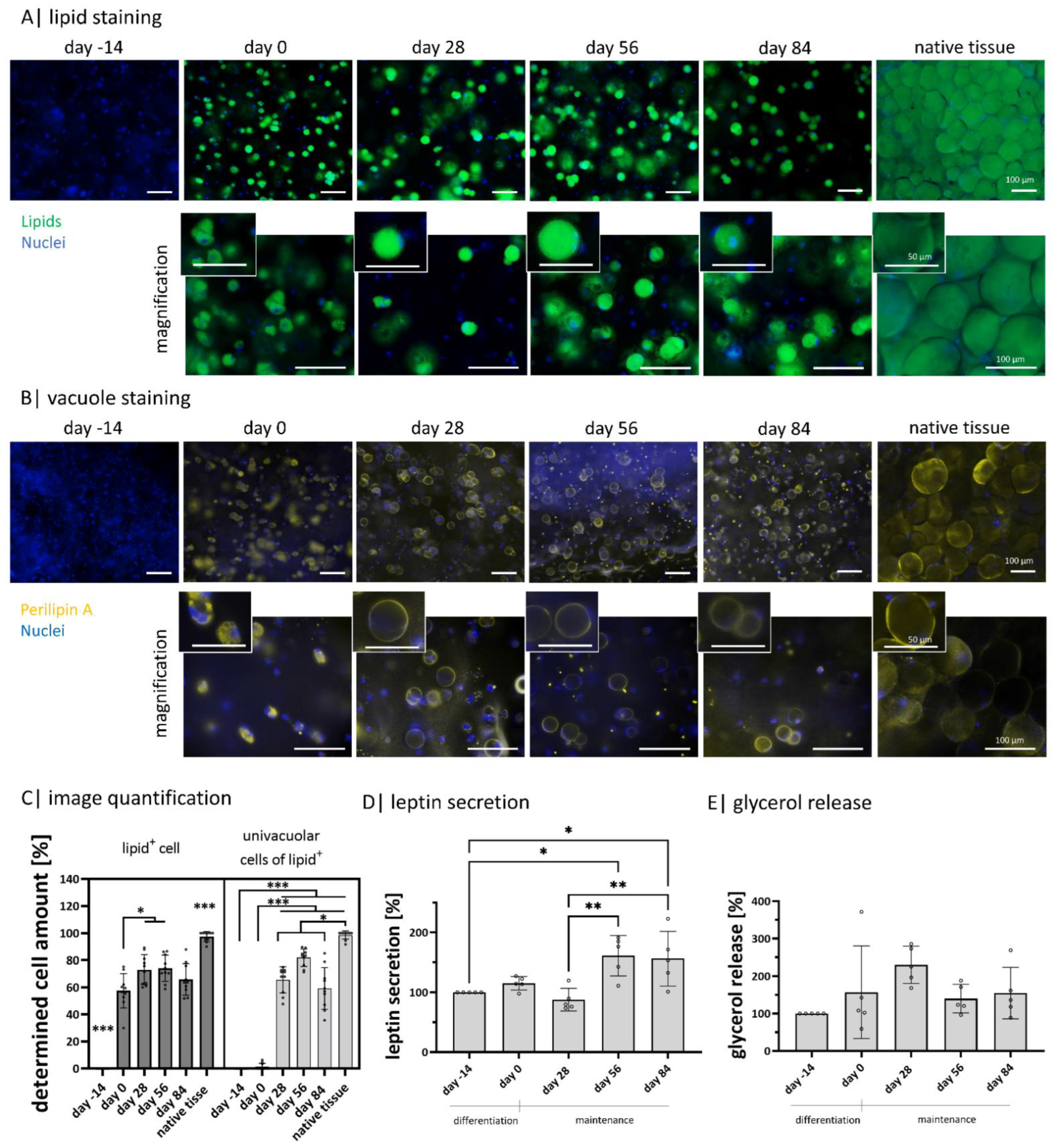 Gels 08 00420 g003 550
