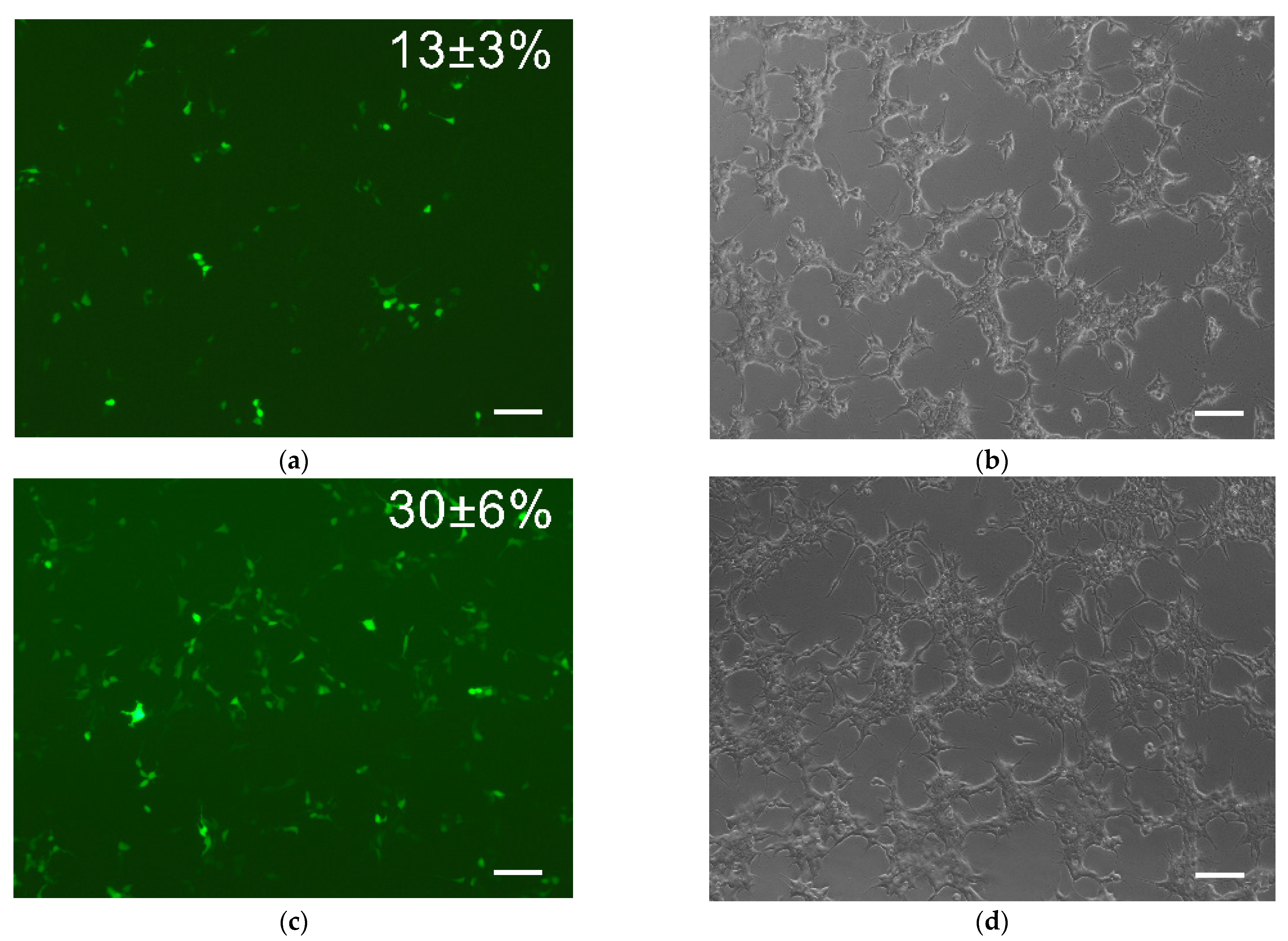Gels 08 00421 g001 550