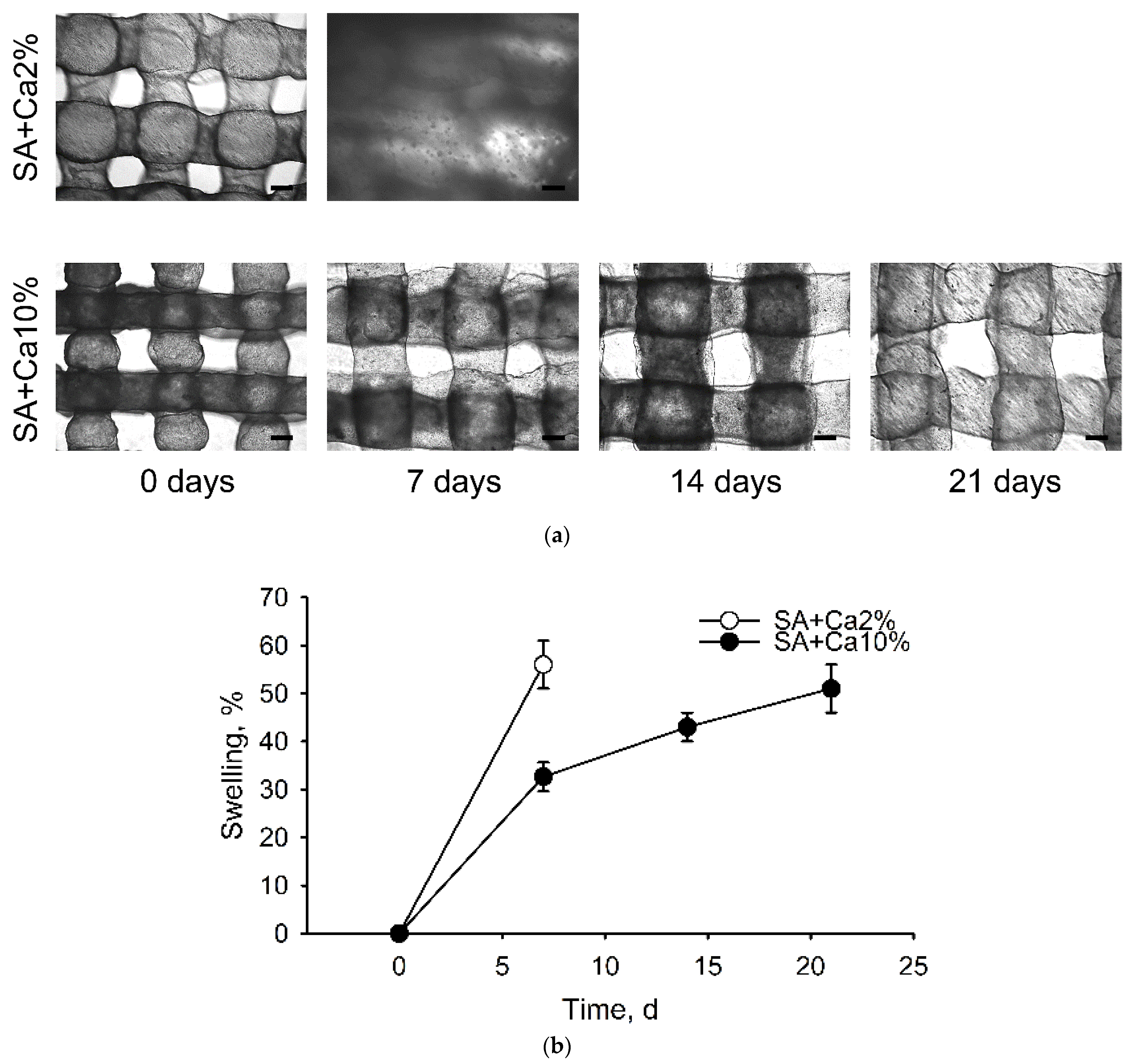 Gels 08 00421 g003 550