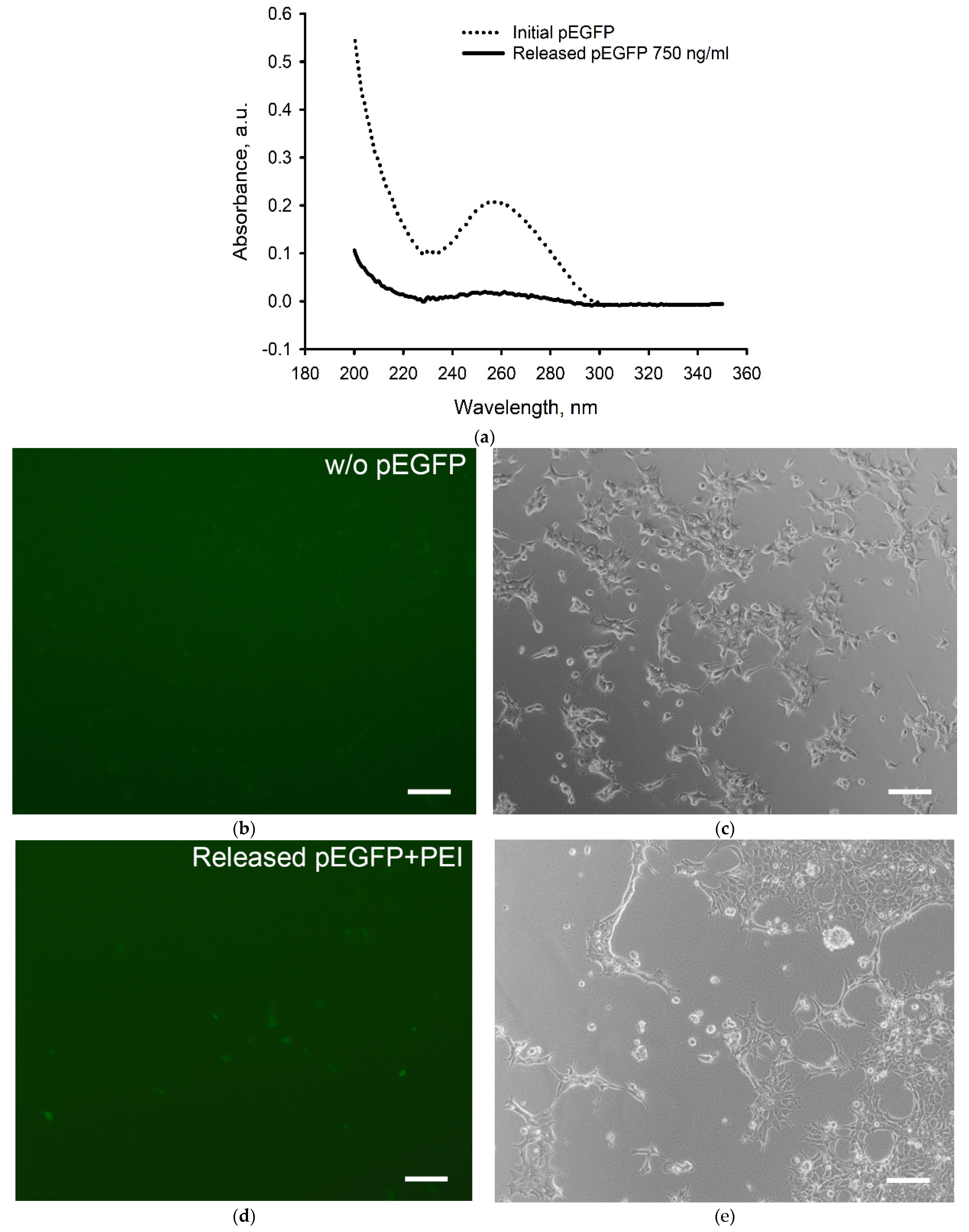 Gels 08 00421 g004 550