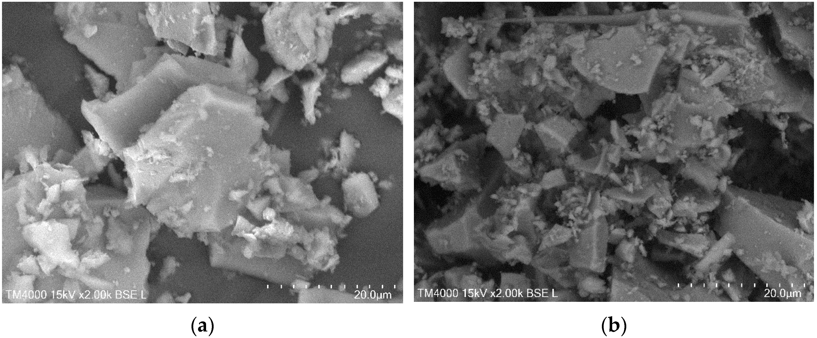 Gels 08 00422 g009 Gels 08 00422 g009