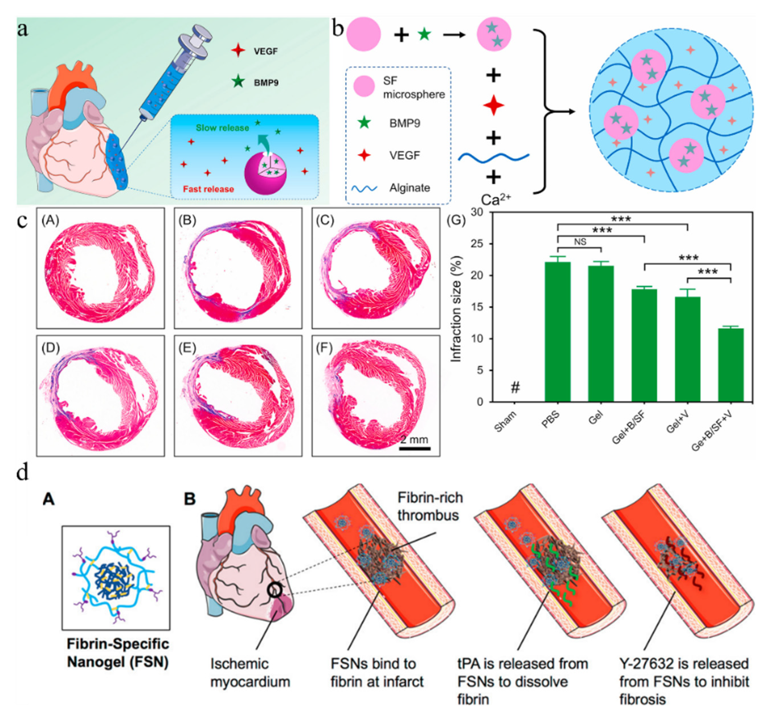 Gels 08 00423 g005 Gels 08 00423 g005