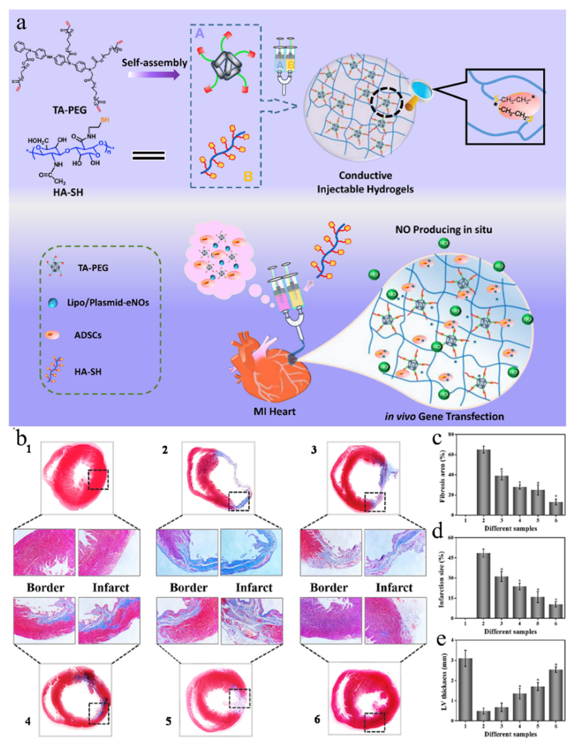 Gels 08 00423 g006 Gels 08 00423 g006